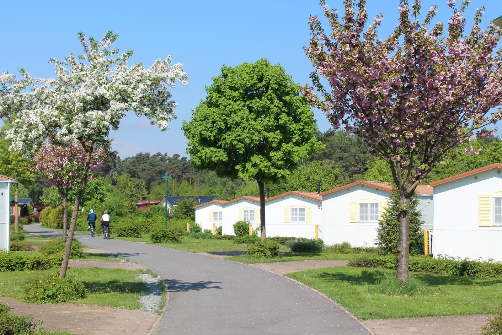 Südsee-Camp Wietzendorf - Image 1