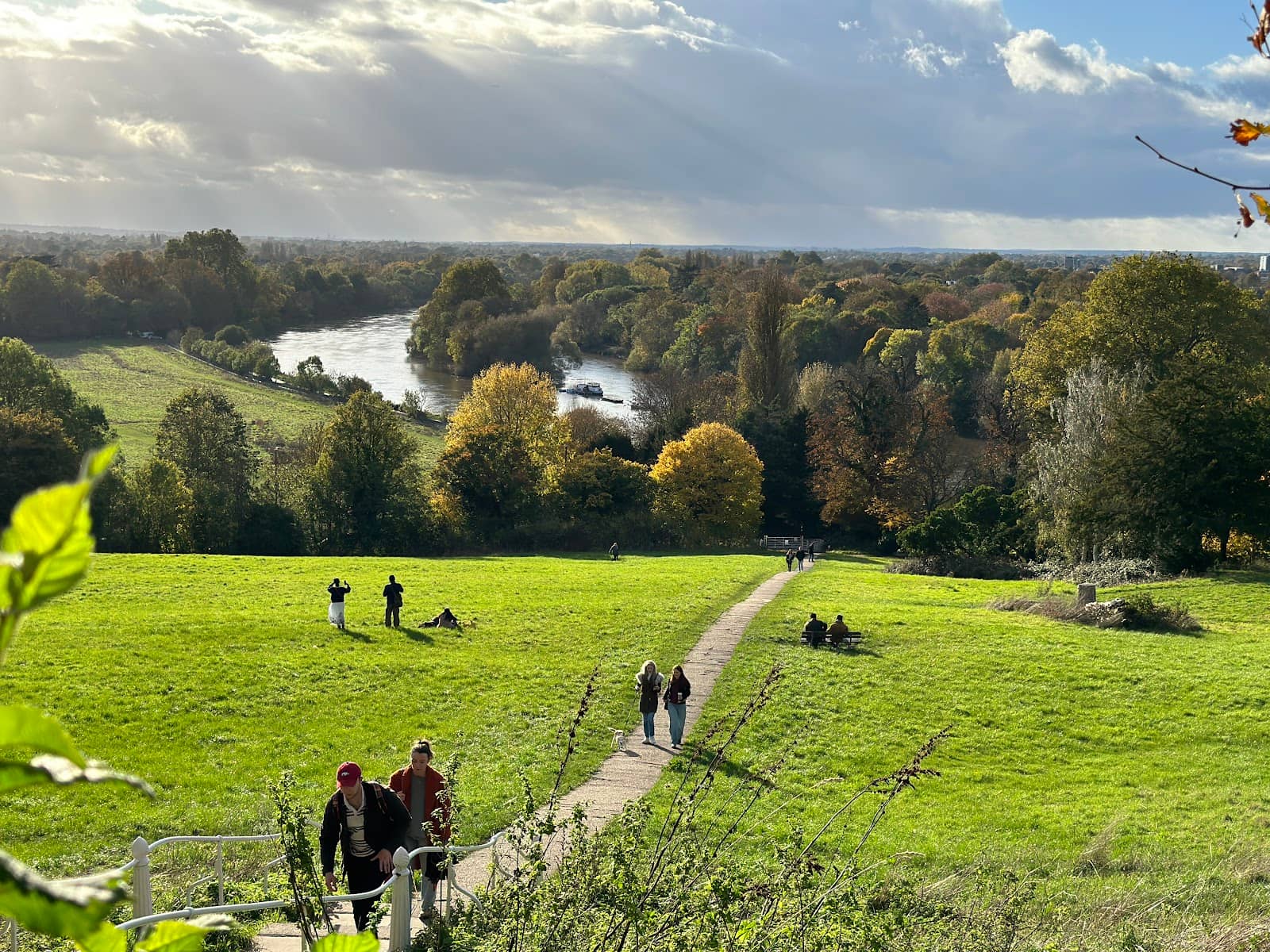 Richmond Park's Wild Charm