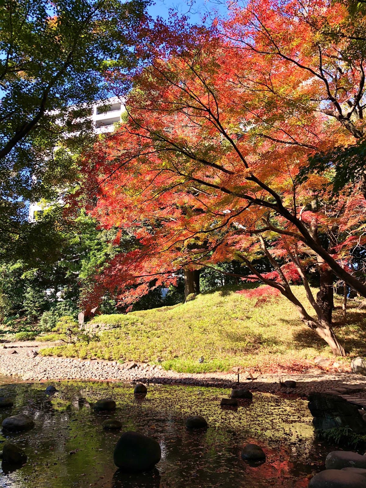 Koishikawa Tokyo - Image 1
