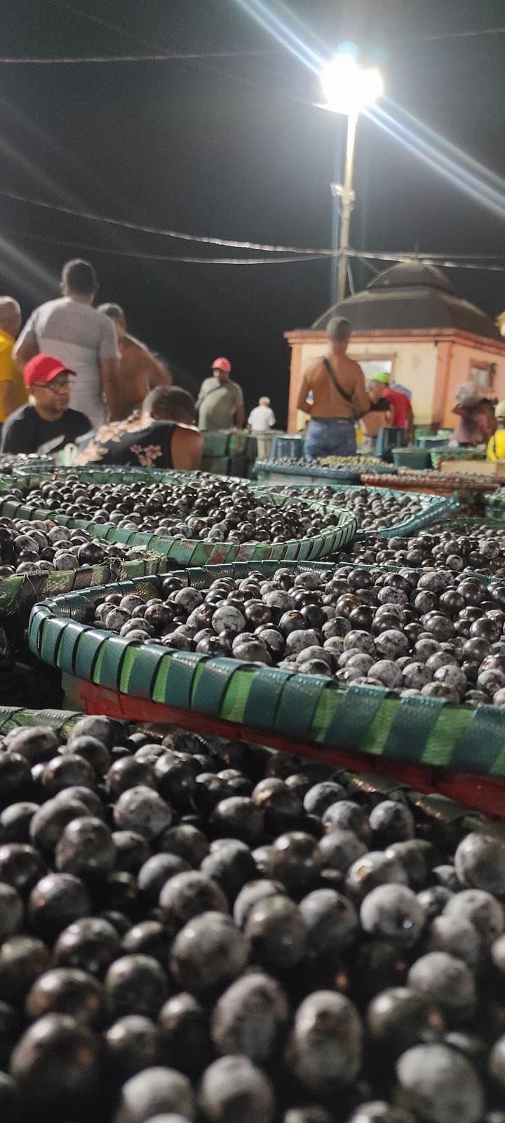 Feira do Açaí - Image 1