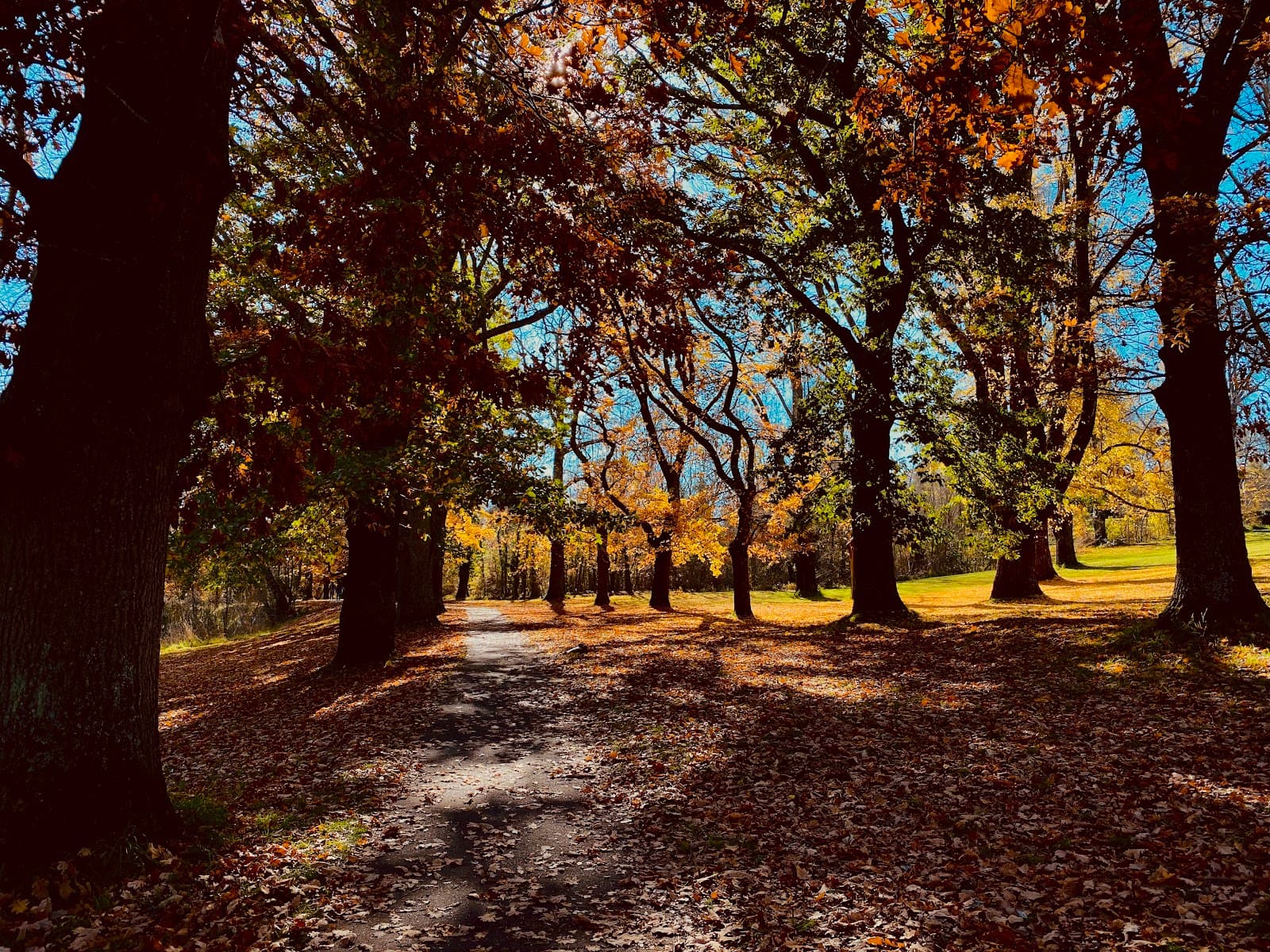 Kyneton Botanic Gardens - Image 1