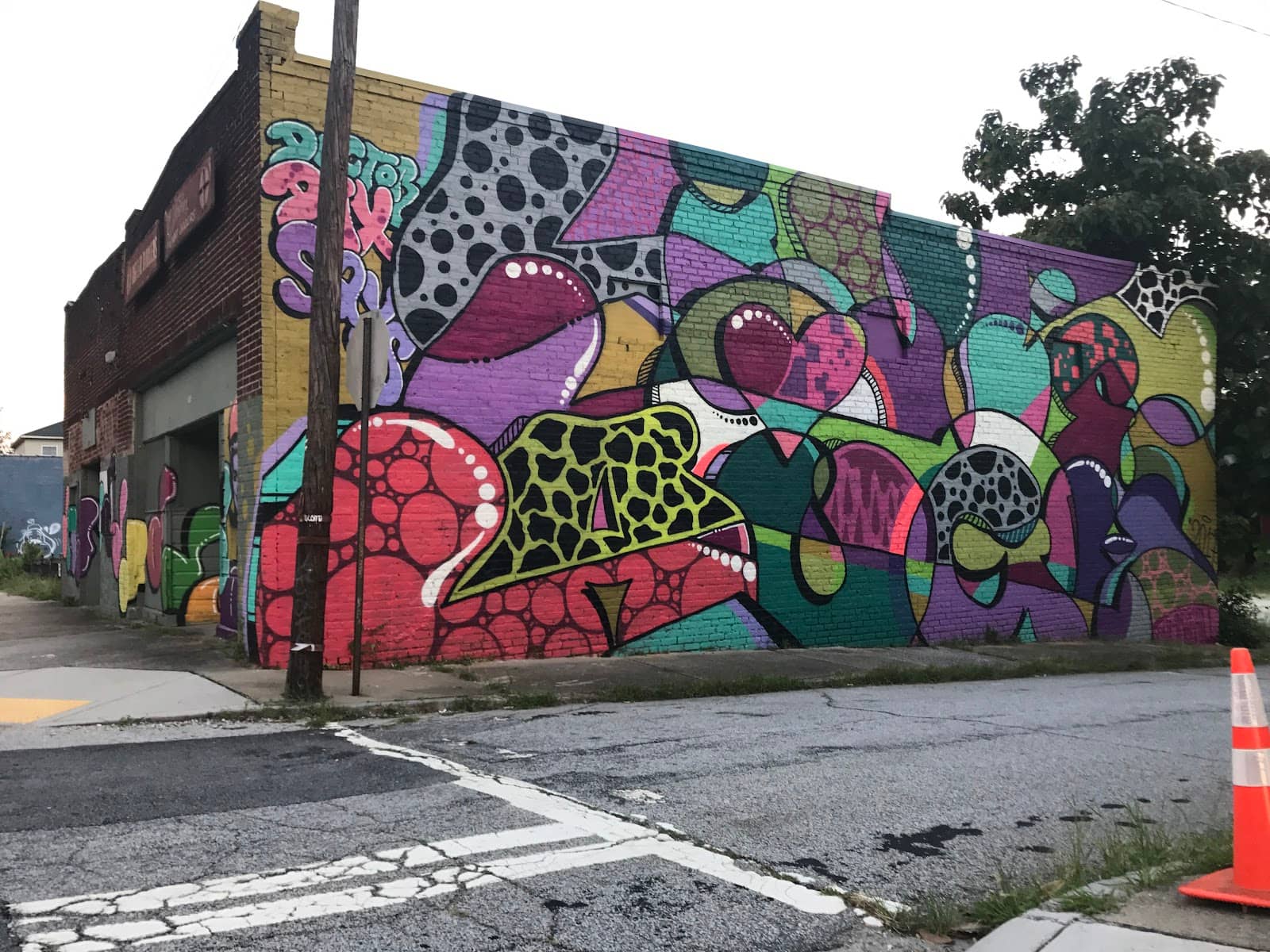 Summerhill Wines Tasting