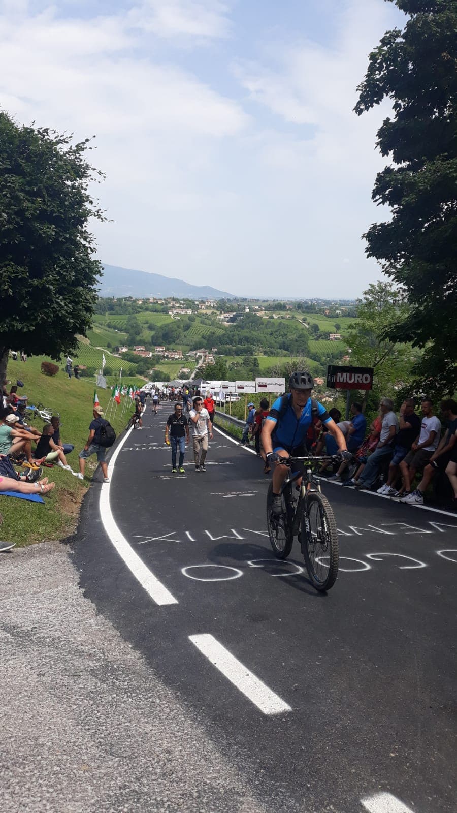 Muro di Ca' del Poggio - Image 1