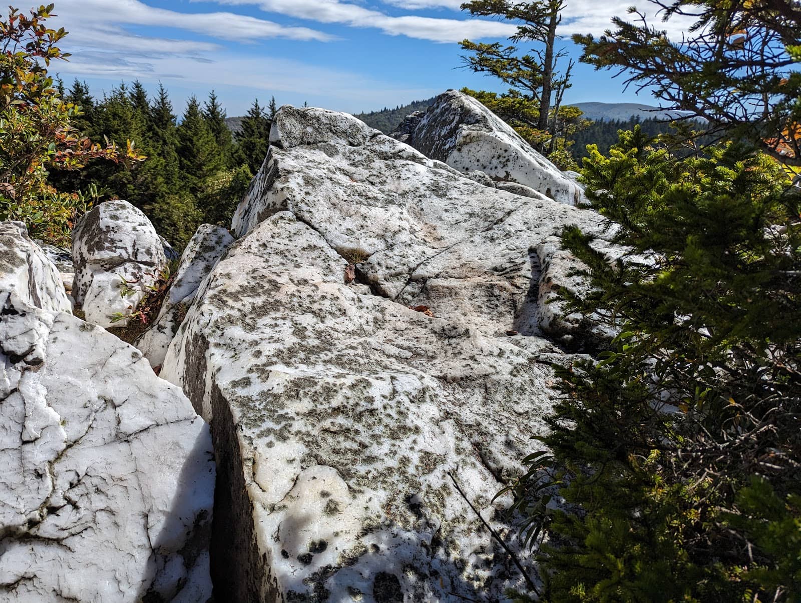 Black Balsam Knob