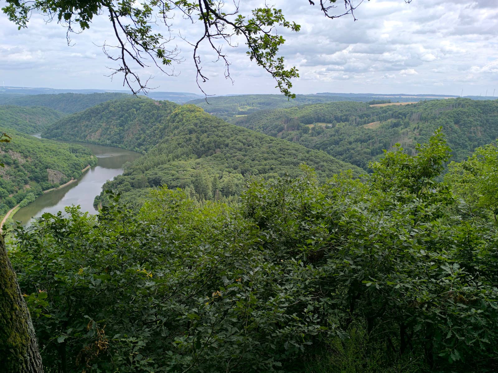Treetop Walk Adventure