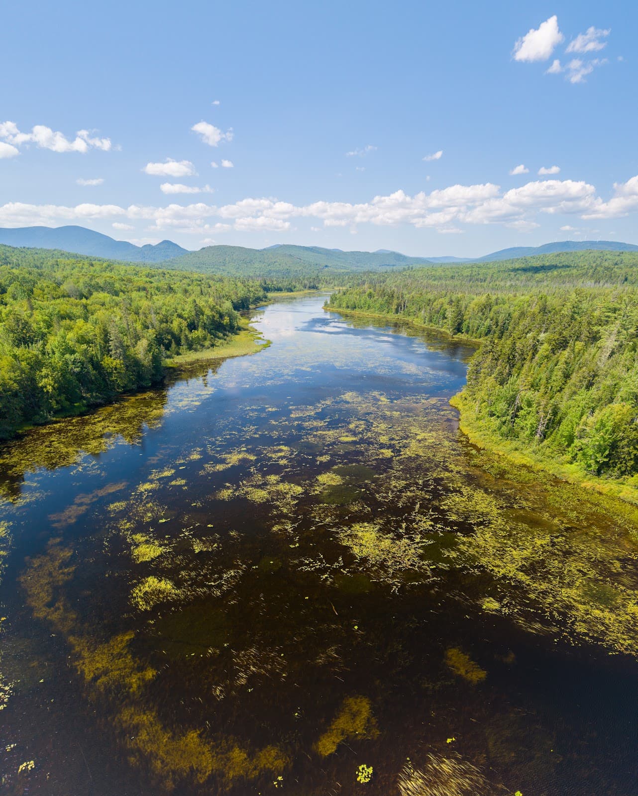Pontook Reservoir Wildlife Viewing Area - Image 1