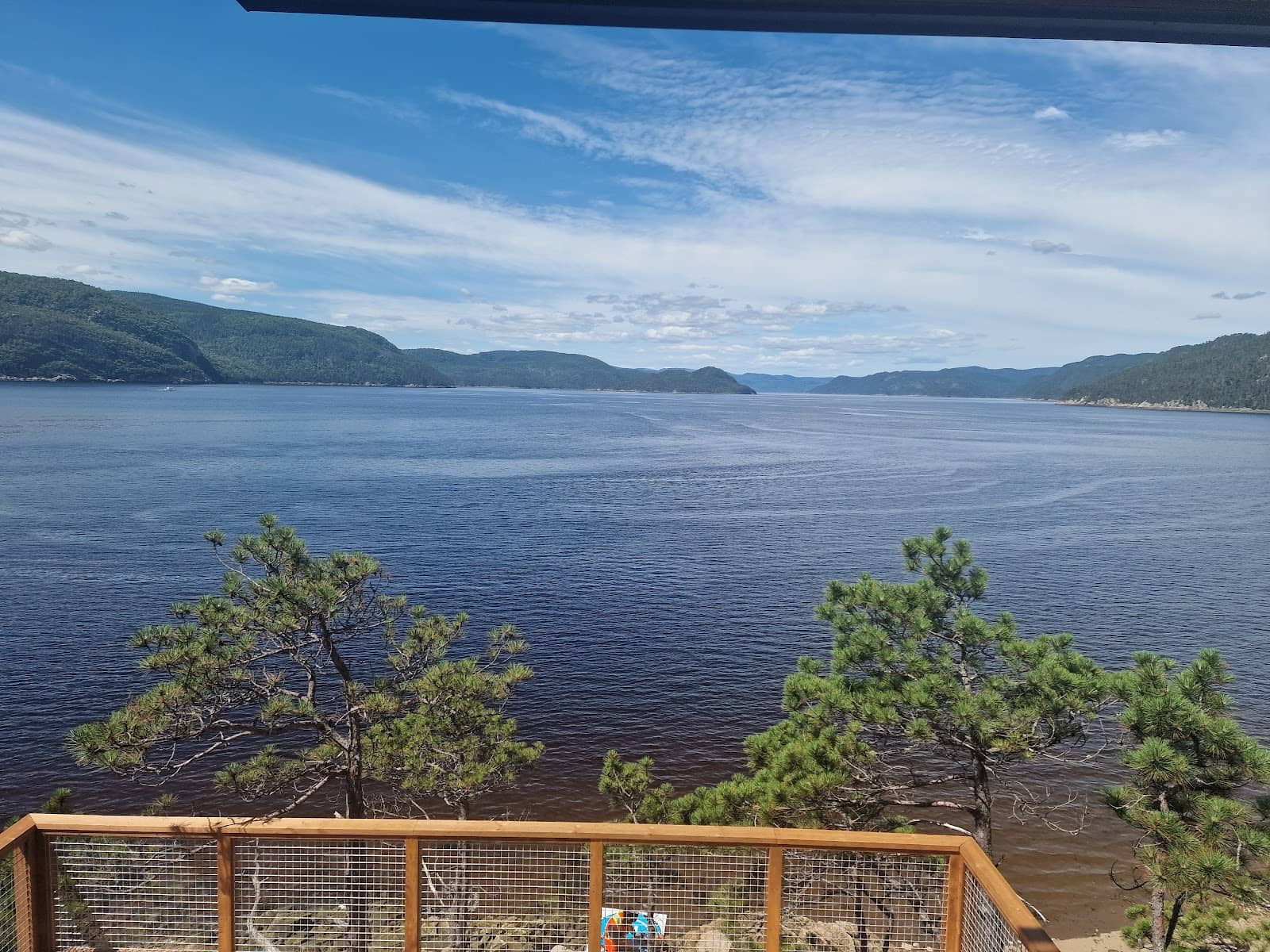 The Lookout Platform