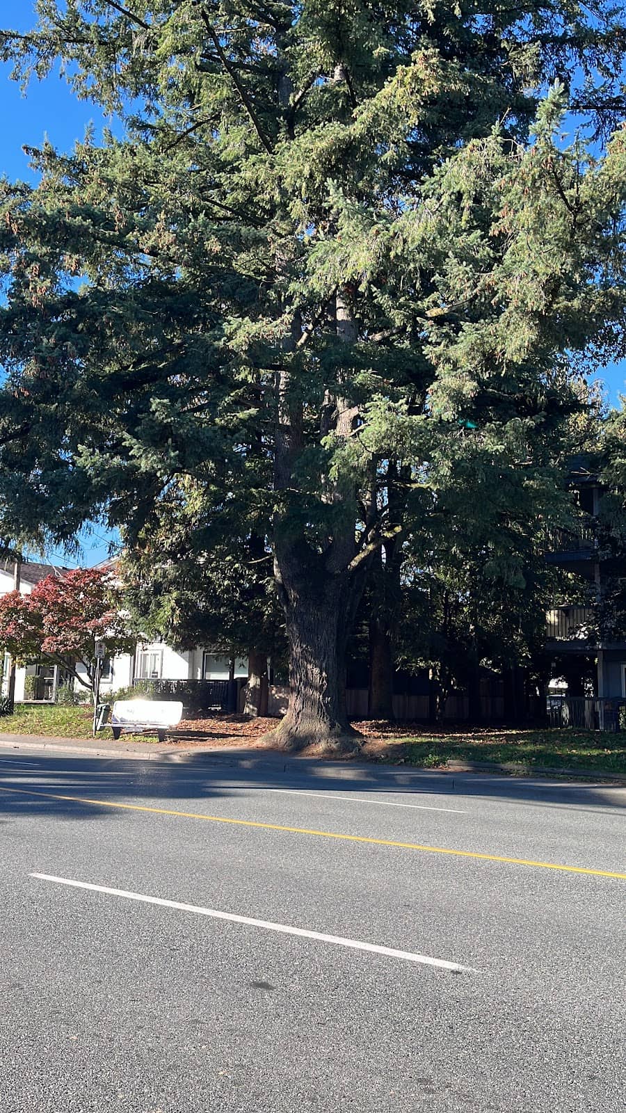 Clearbrook Grain & Milling