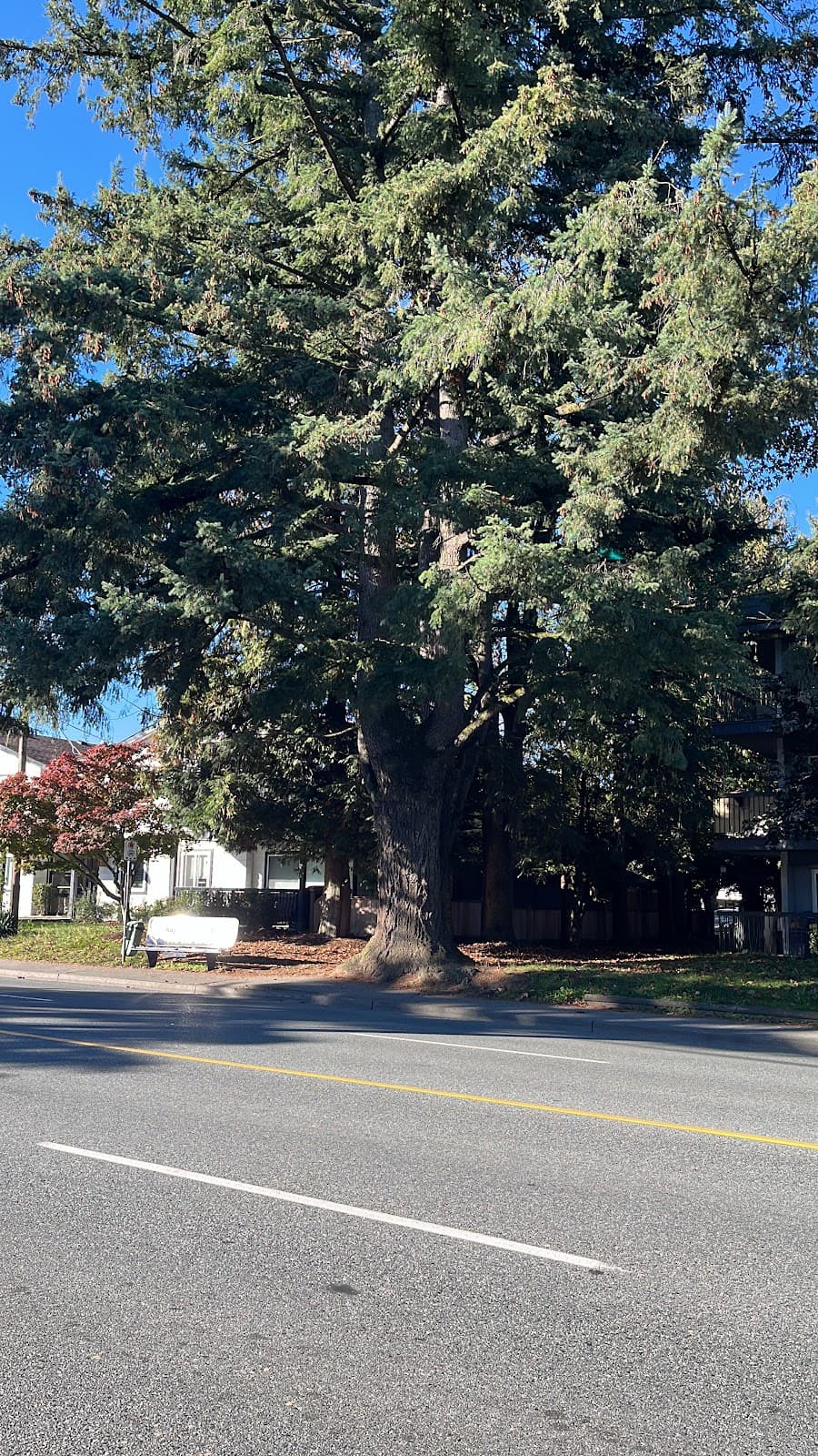 Clearbrook - Image 1