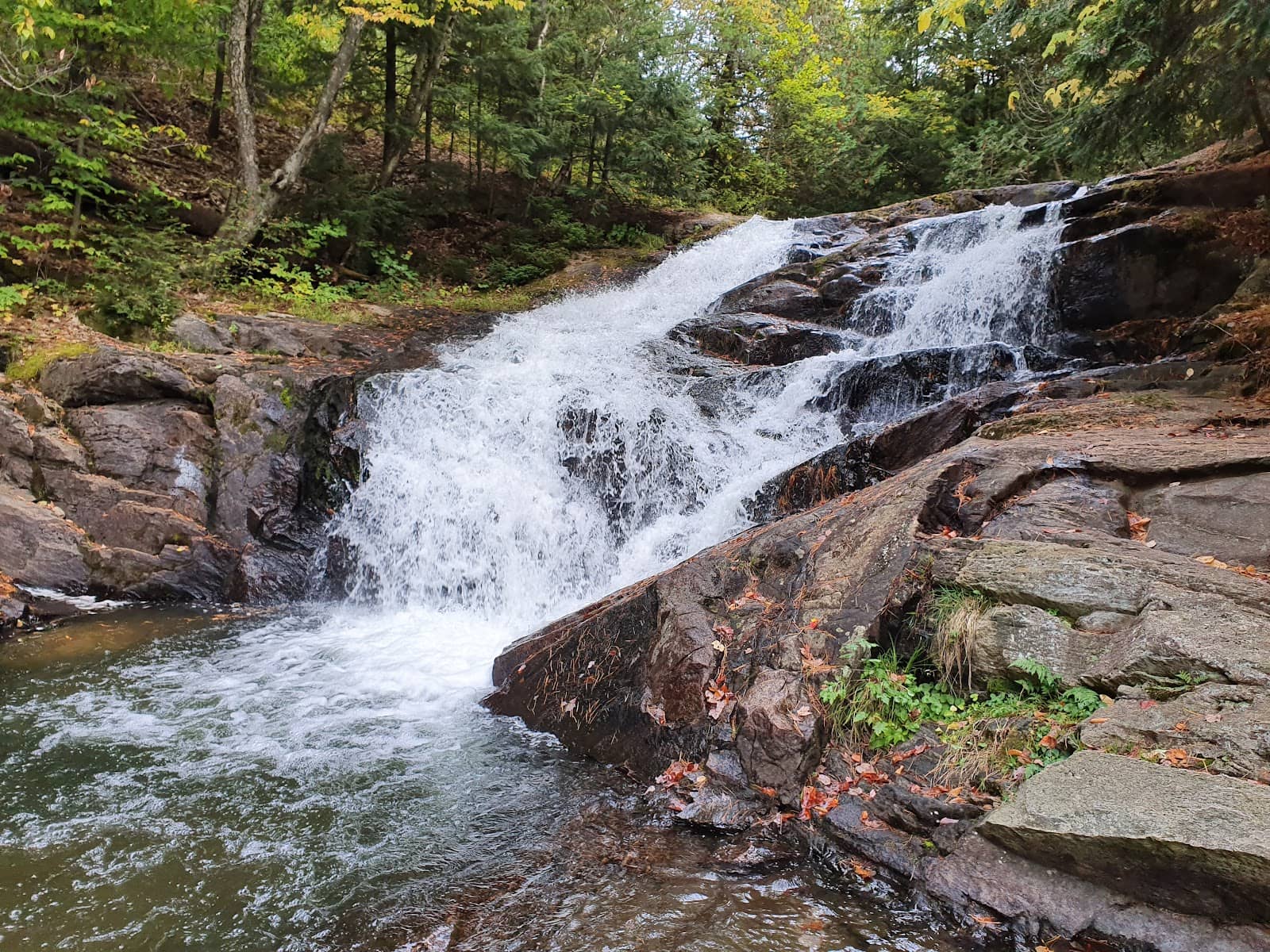 Tranquil Swimming Hole