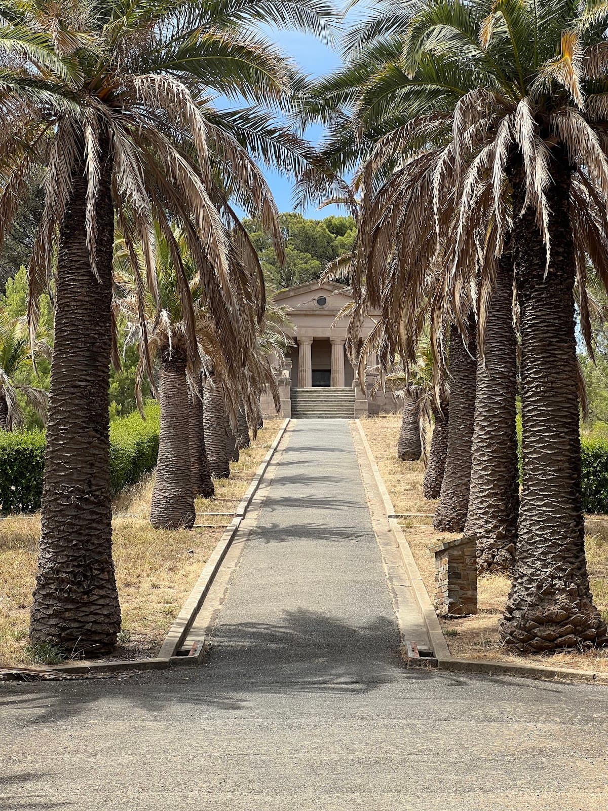Avenue of Palms - Image 1