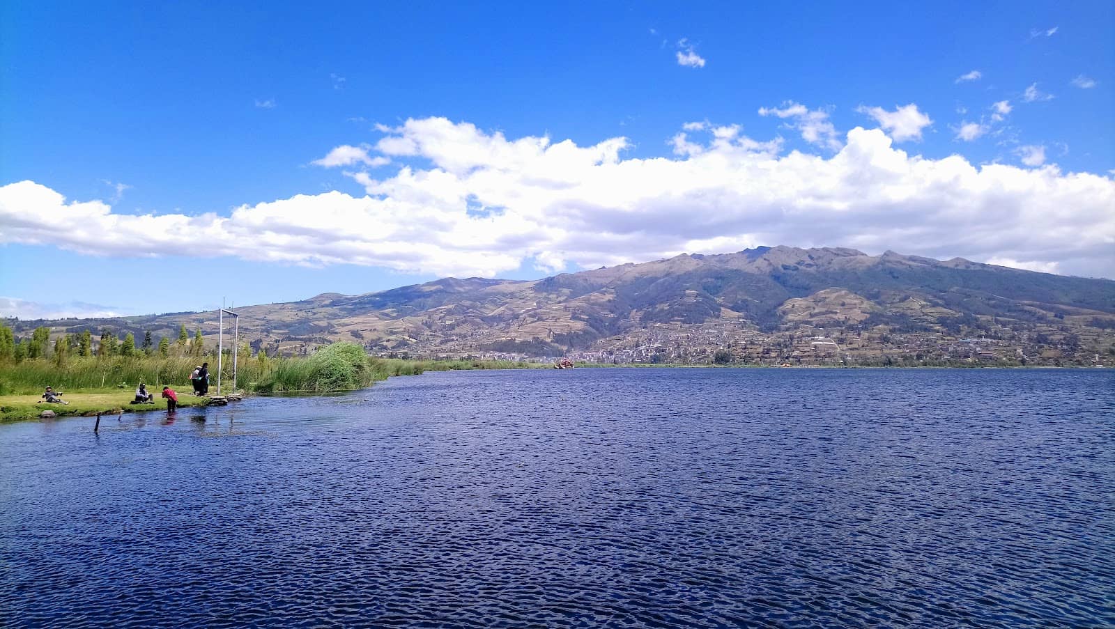 Food & Attraction Hub