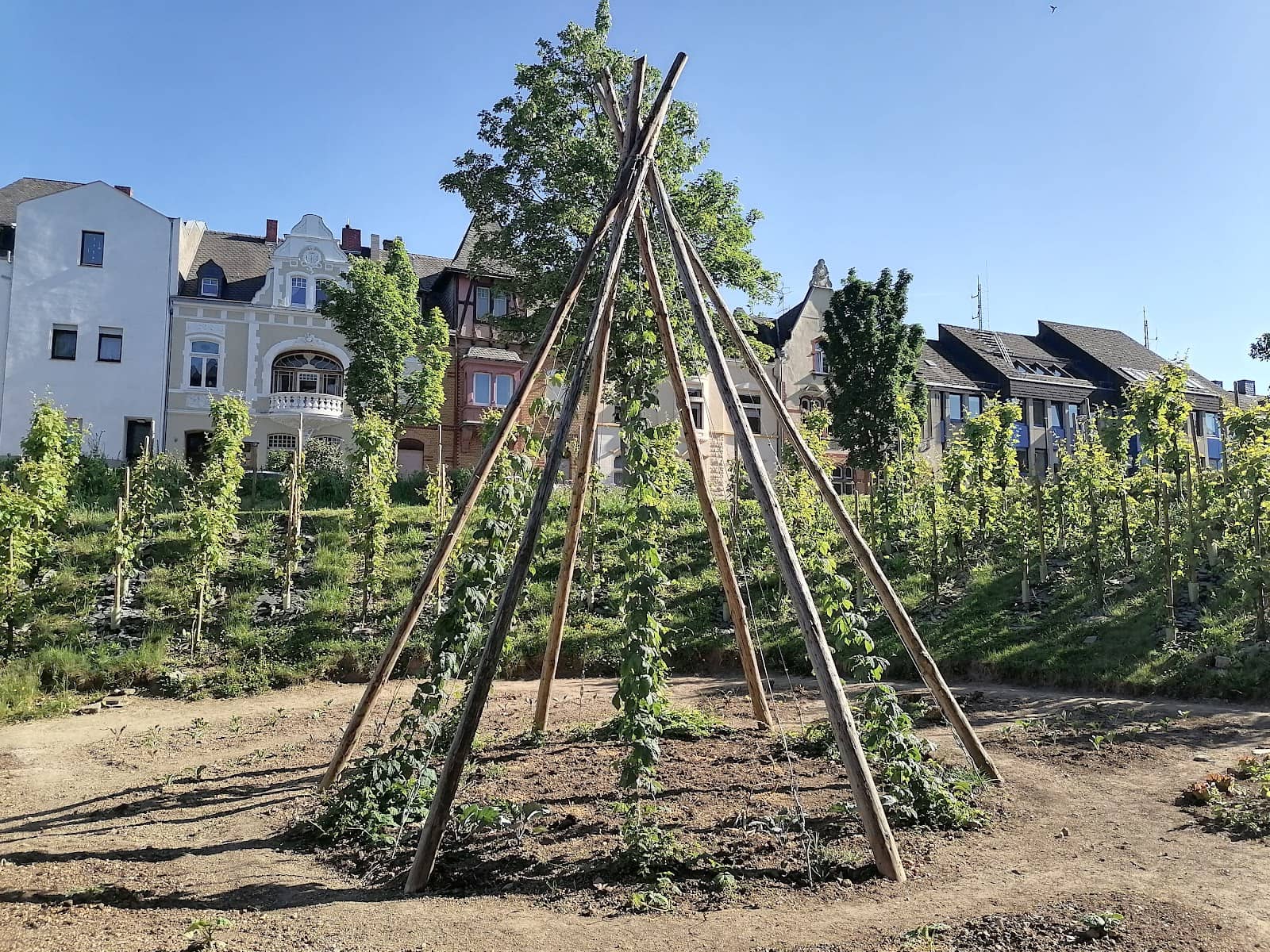 Community Gardening Spirit