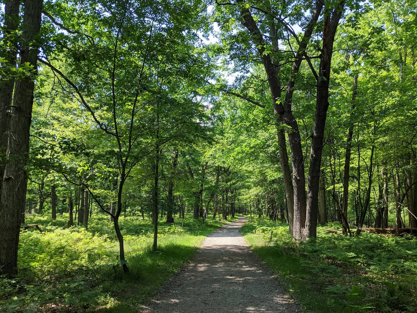 Peaceful Hiking Trails