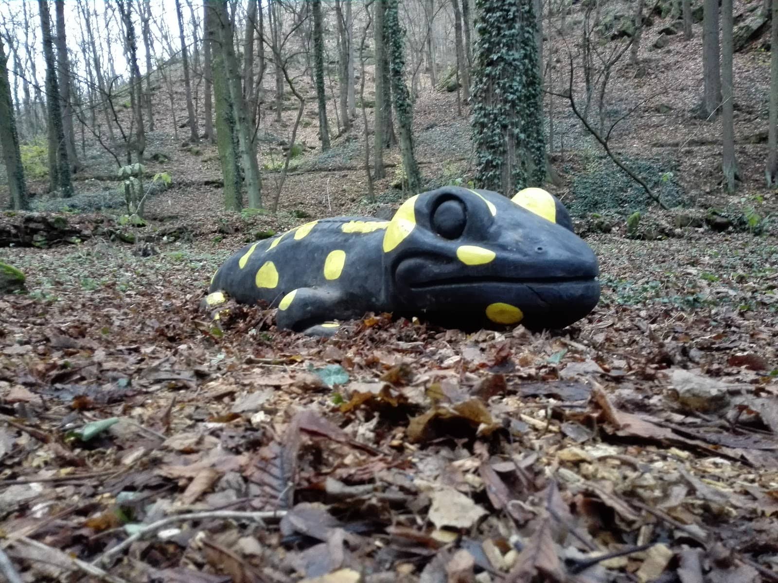 Spálený Mlýn Refreshments