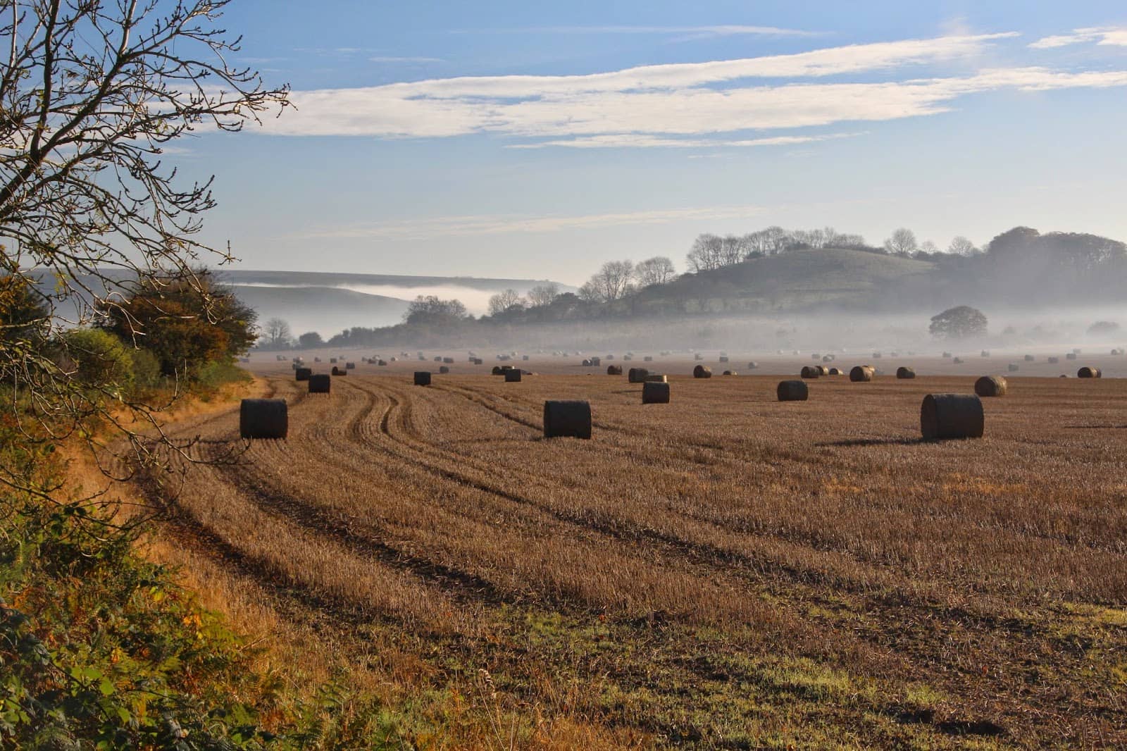 Melbury Hill & Win Green