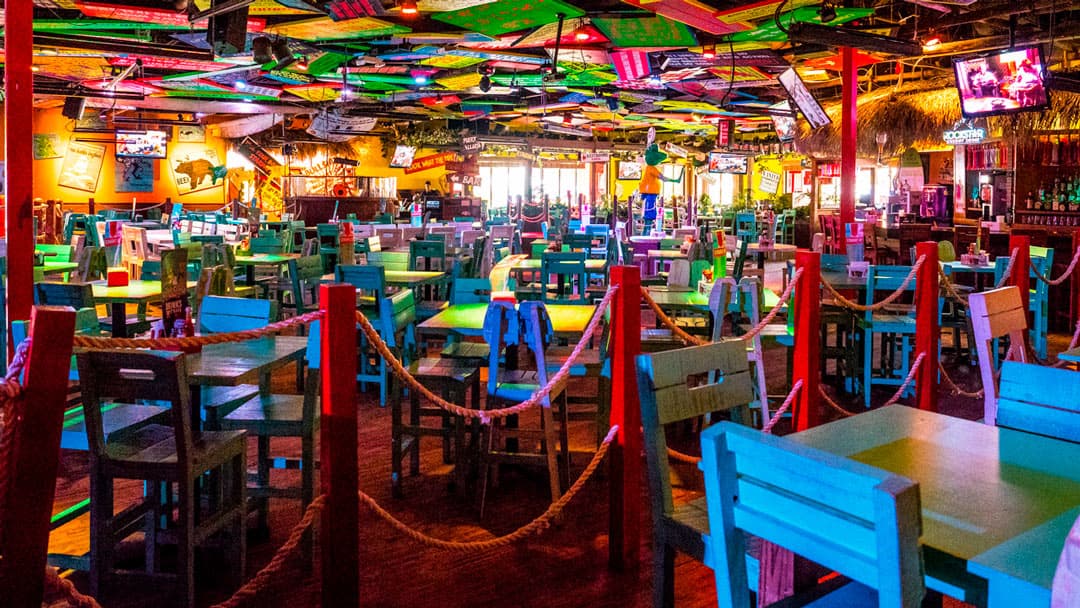 Senor Frogs - Image 1