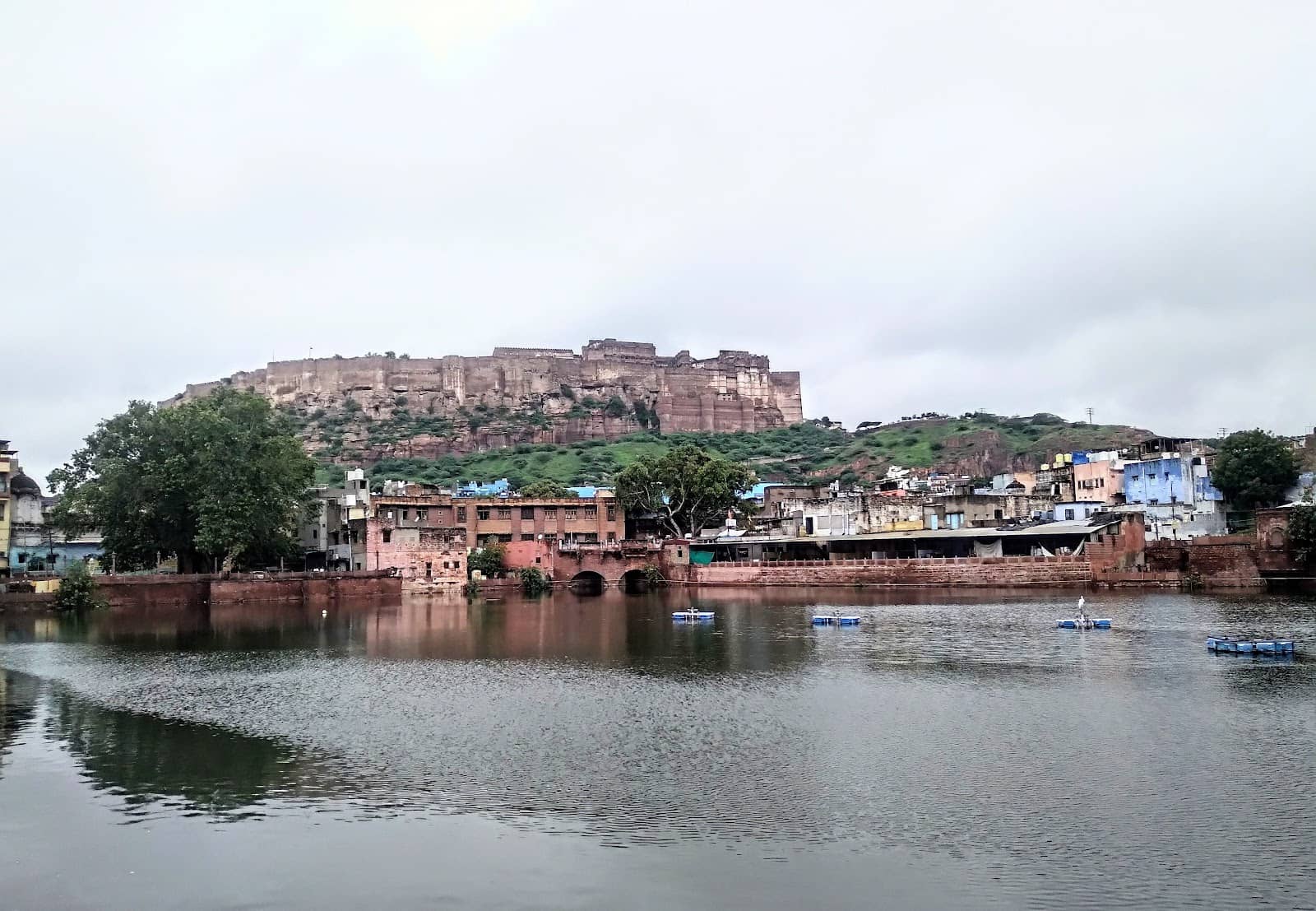 Vibrant City Ambiance