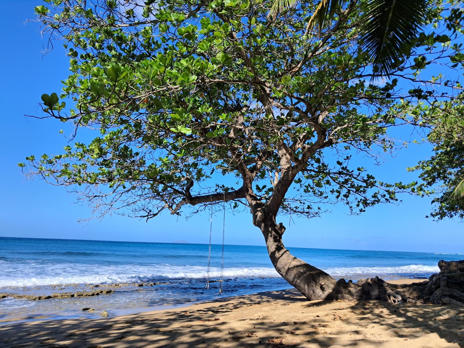 Tres Palmas Marine Reserve Rincón Puerto Rico - Image 1