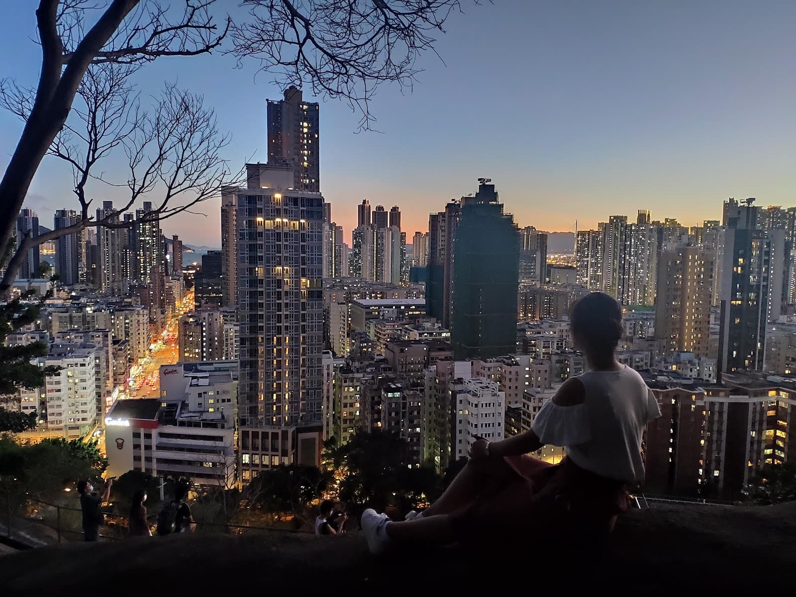 Garden Hill Viewpoint Hong Kong - Image 1