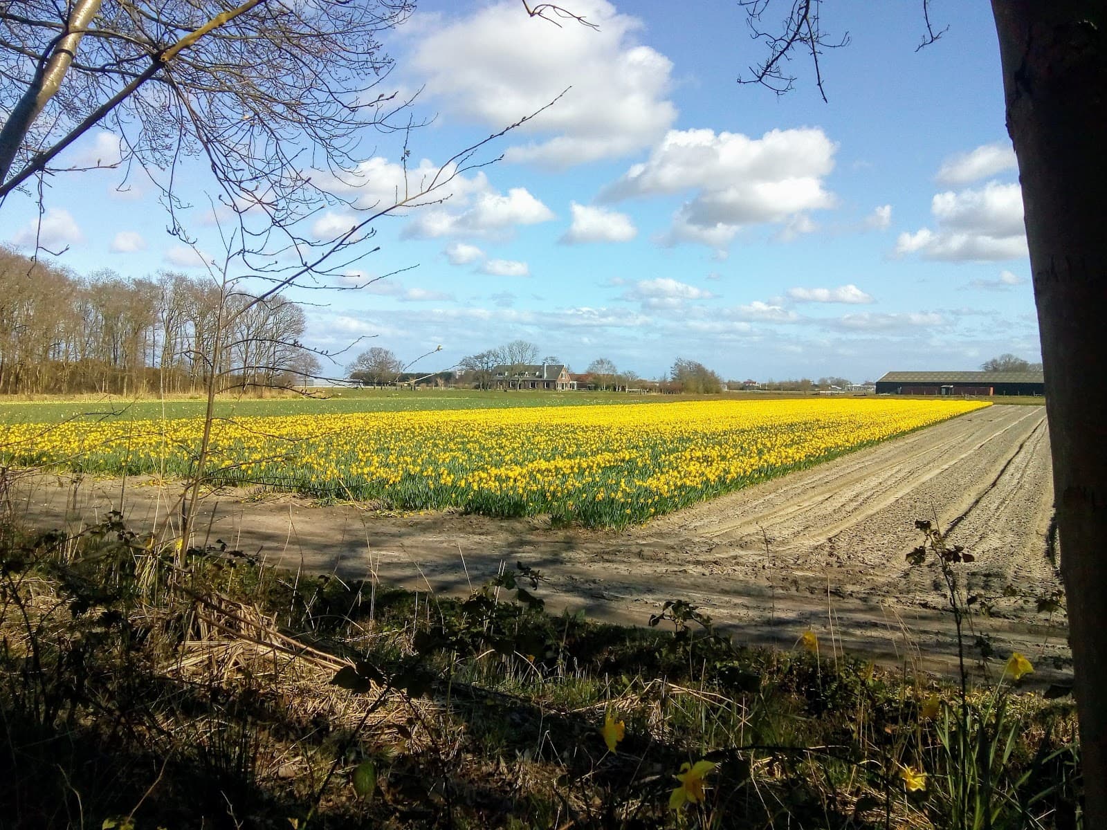 Kapel Oud Leeuwenhorst - Image 1