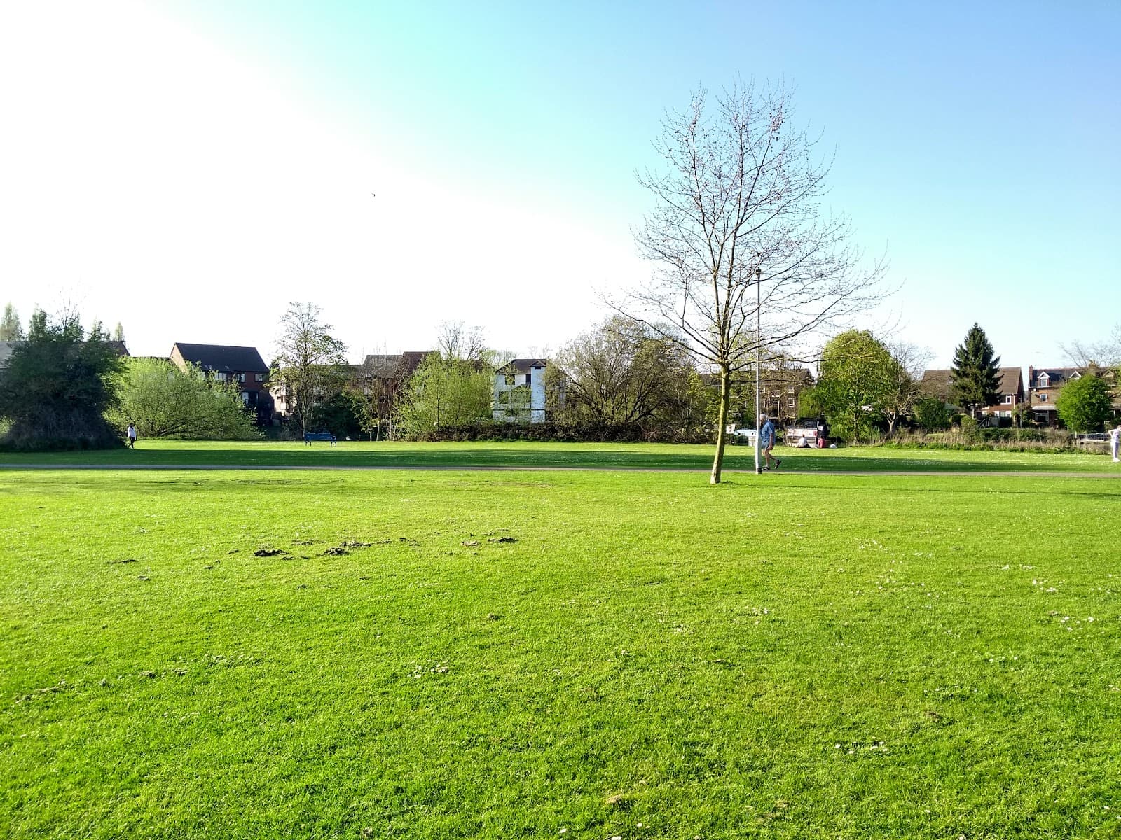 Kings Meadow - Image 1
