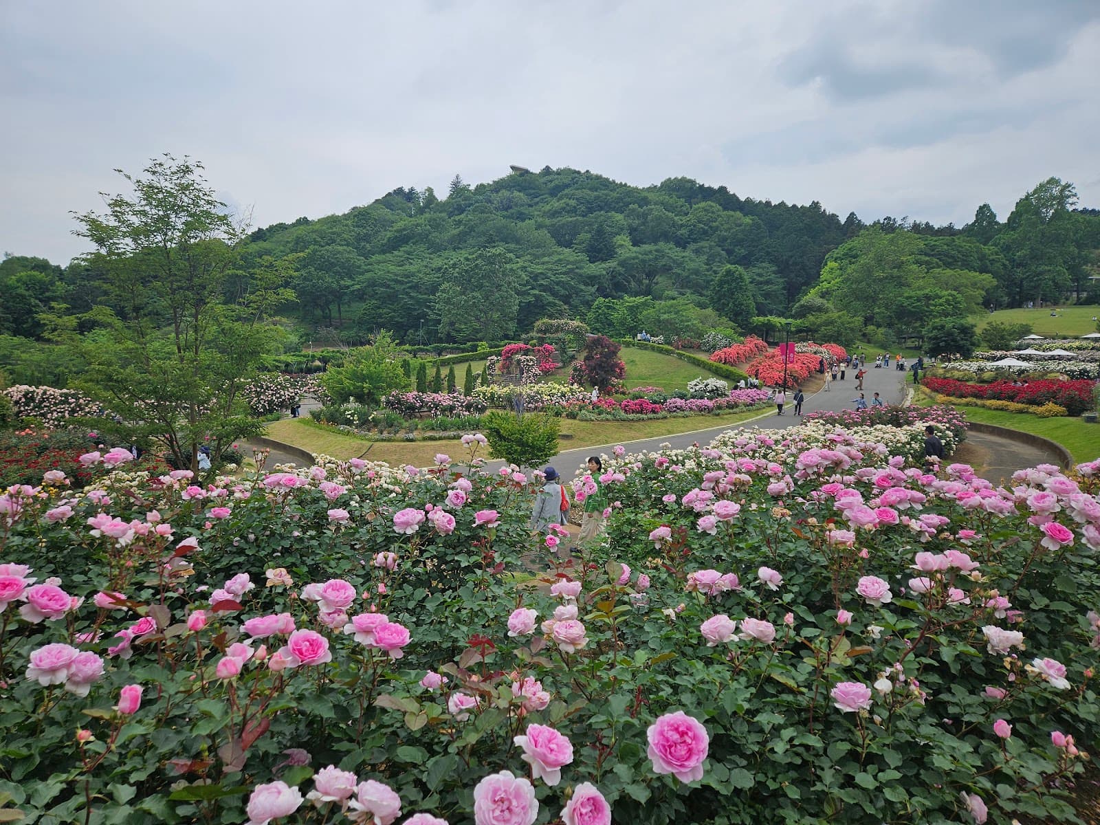 Ibaraki Flower Park - Image 1