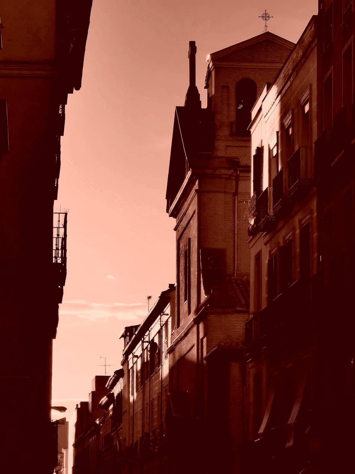 Vertical photo