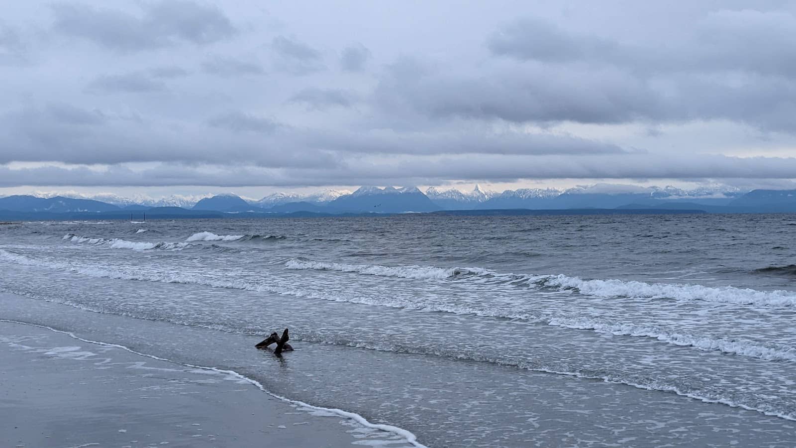 Oceanfront Retreats