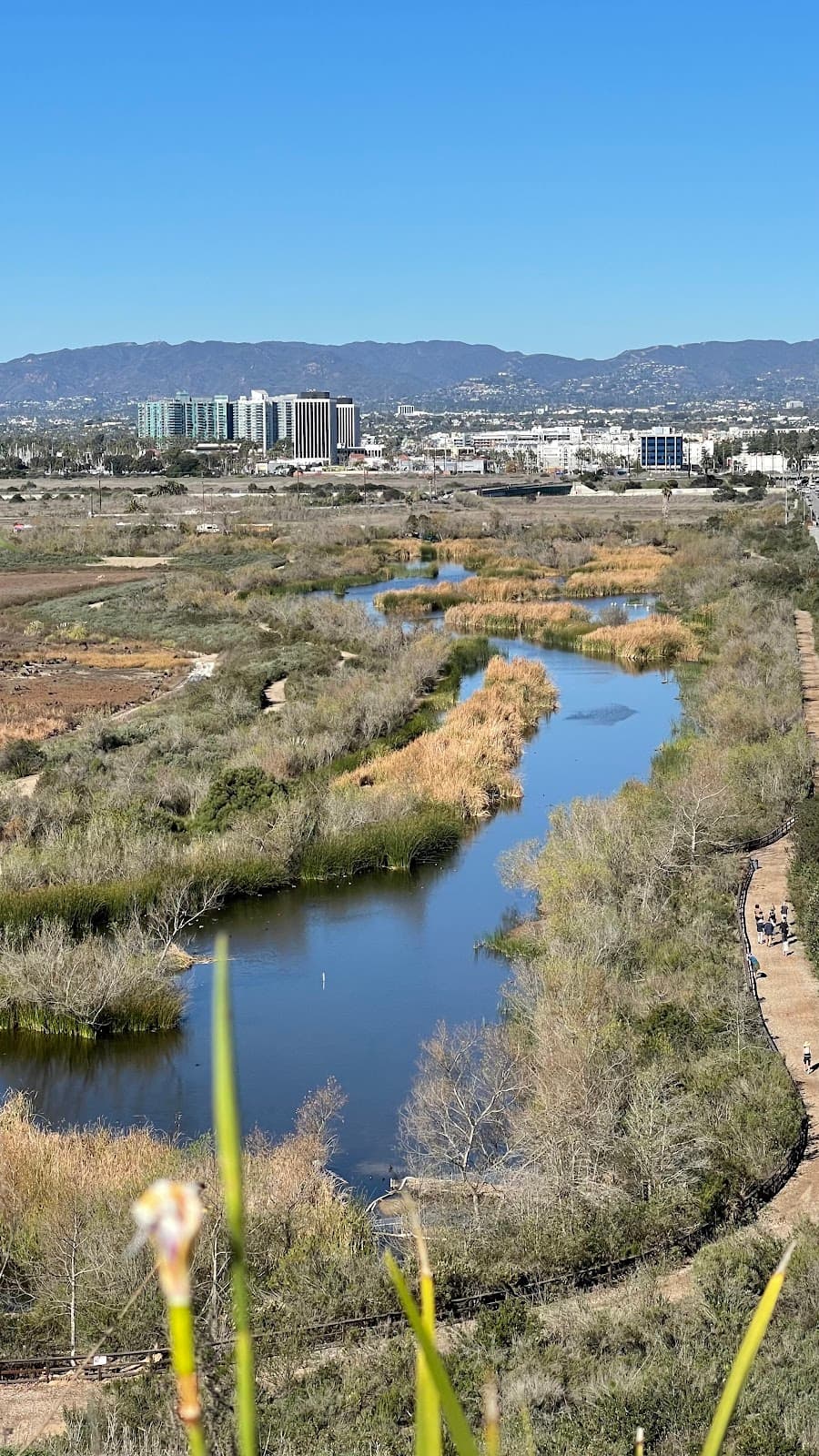 Ballona Freshwater Marsh - Image 1