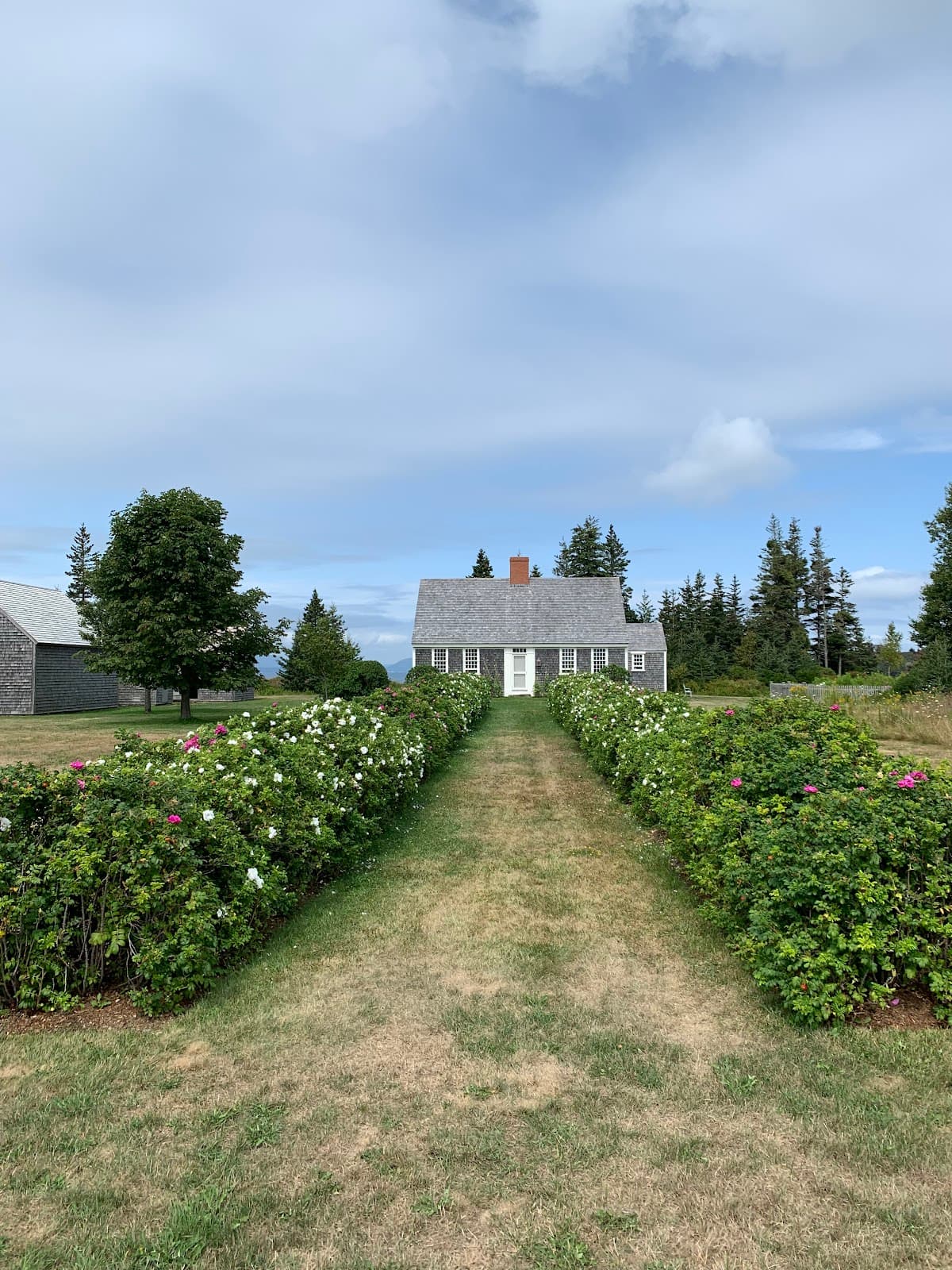 North Haven Village and Harbor - Image 1