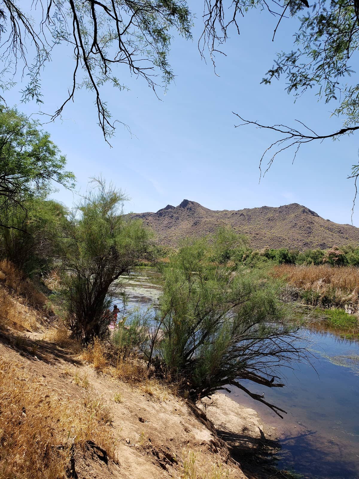 Coon Bluff Trail