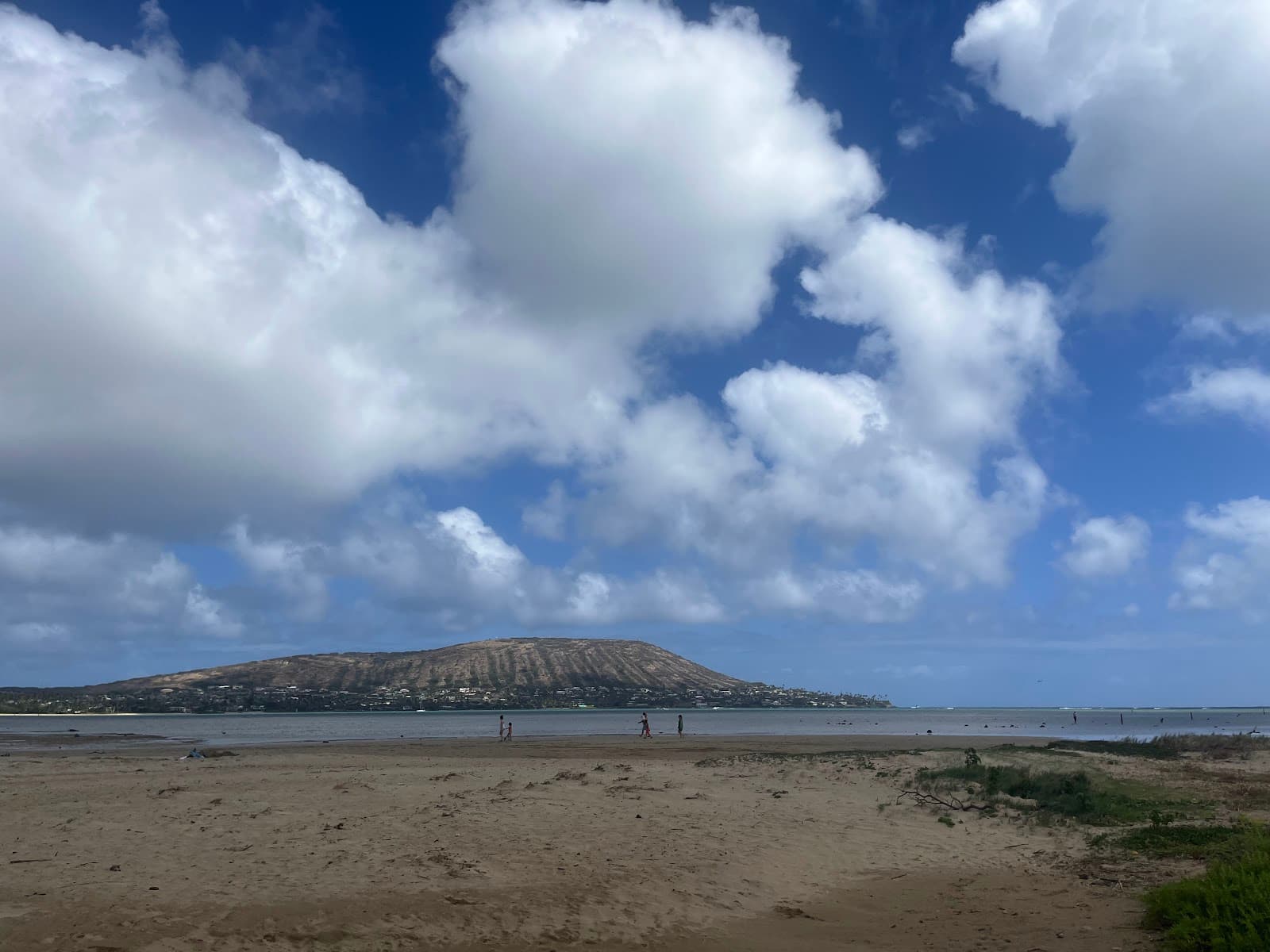 Paiko Lagoon Wildlife Sanctuary - Image 1