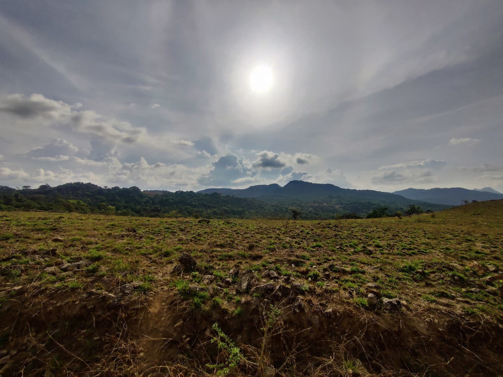 Kote Betta - Image 1