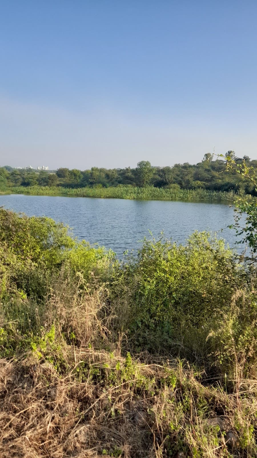 Ambazari Biodiversity Park Trail - Image 1