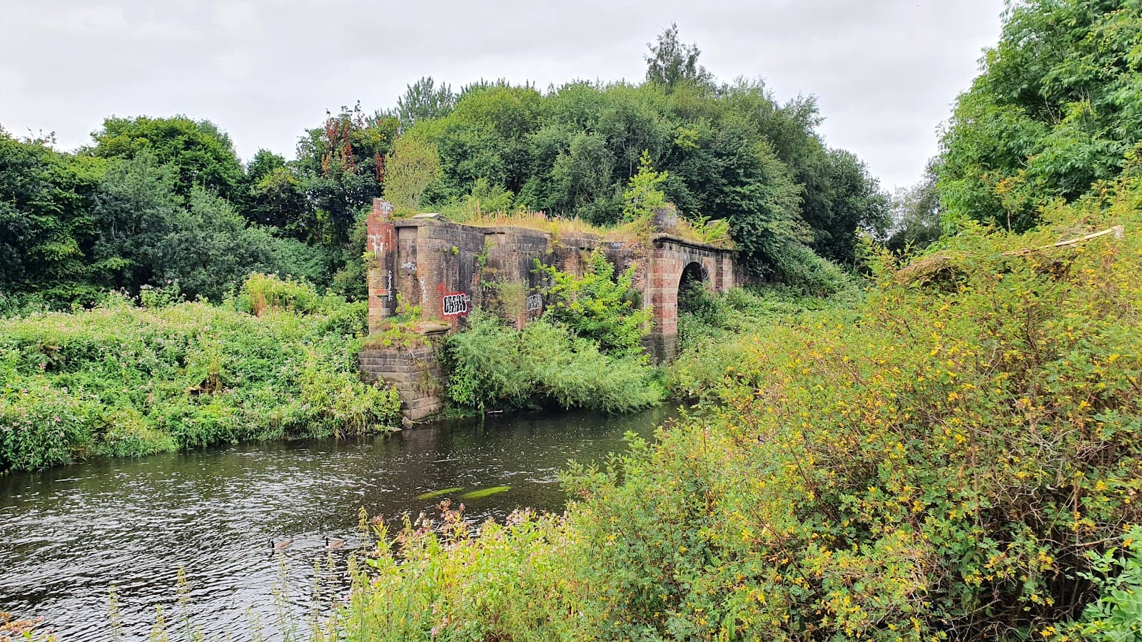 Mersey Vale Nature Park - Image 1