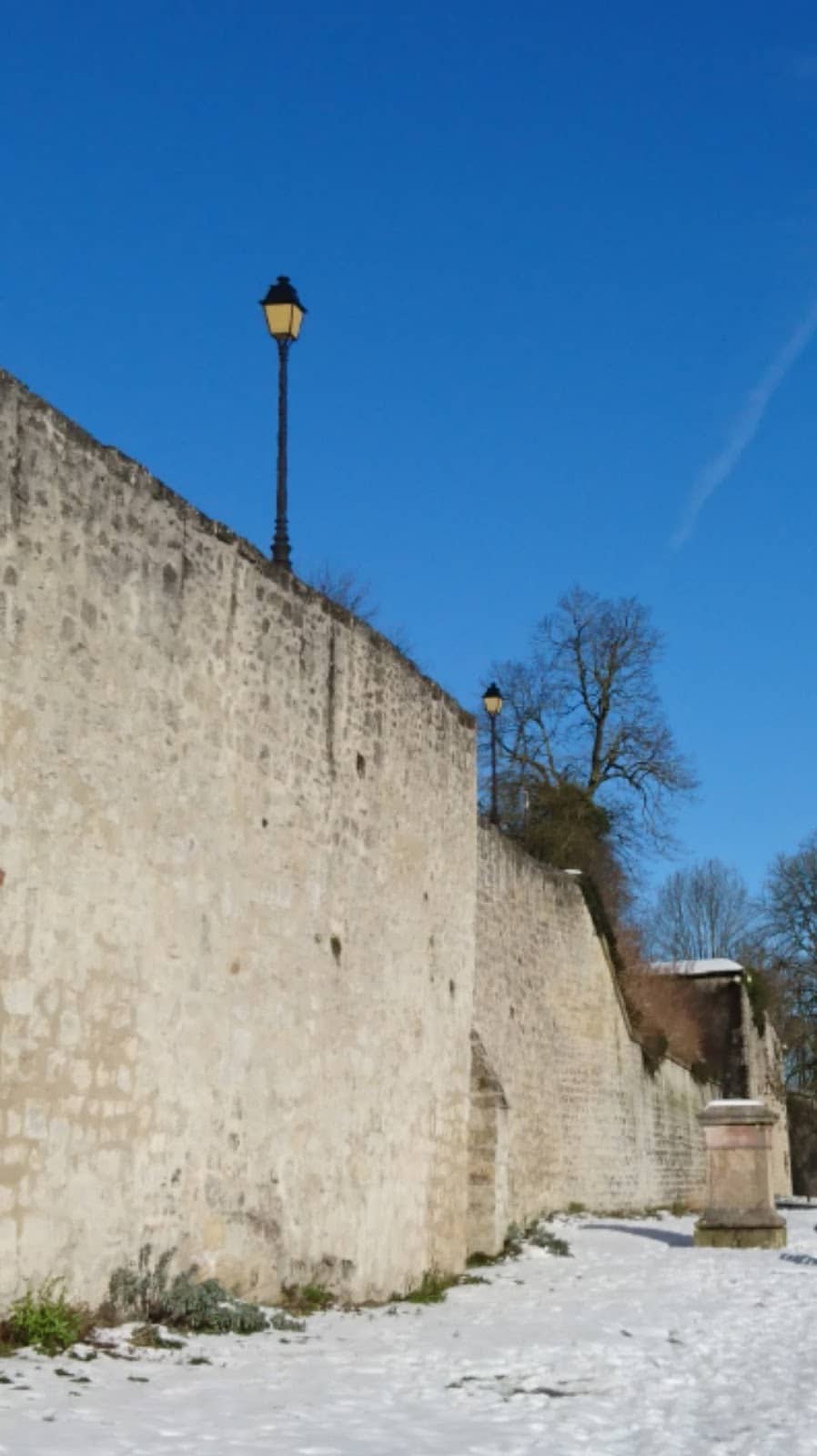 Student Art Showcase