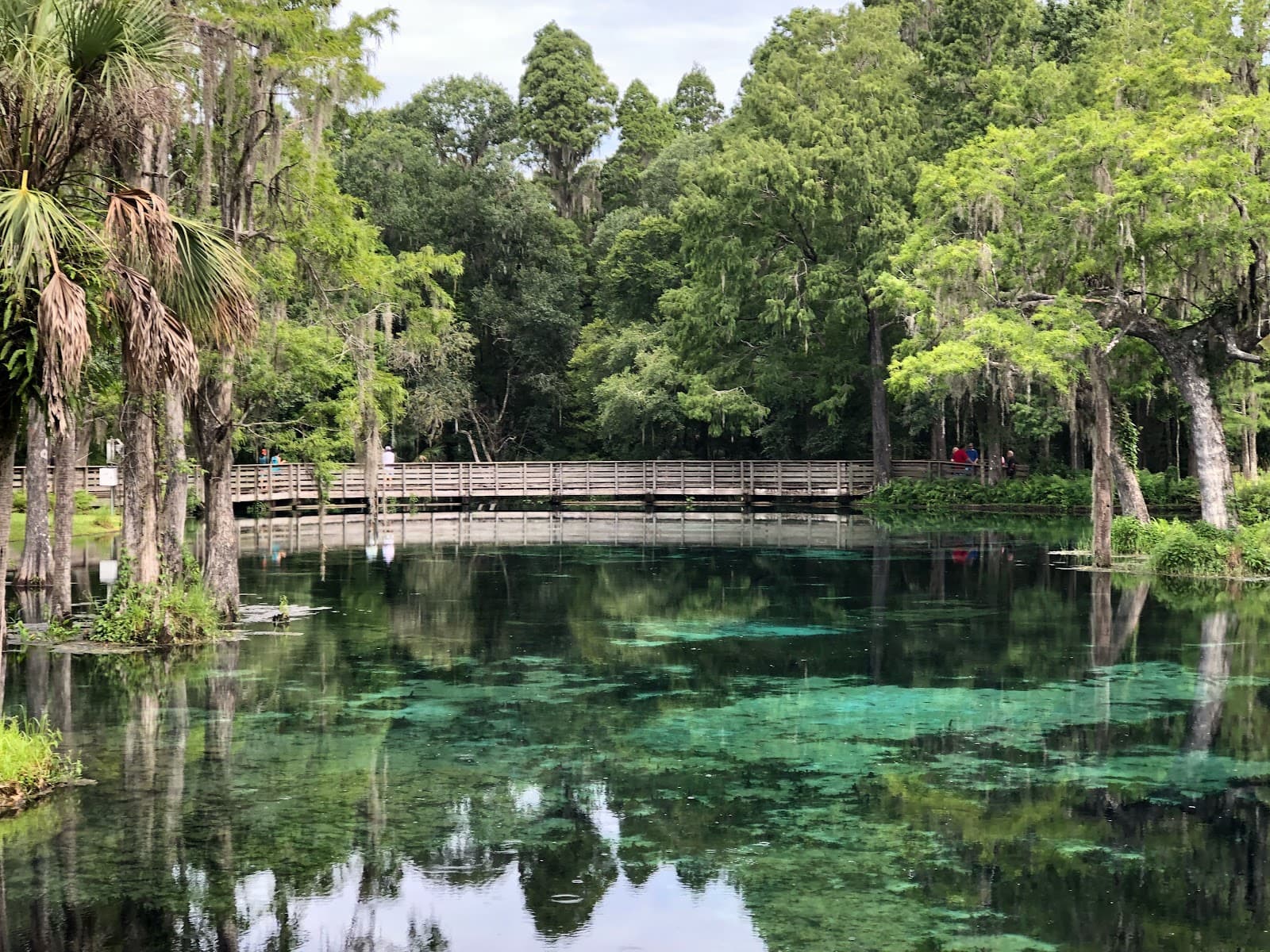 Crystal Springs Preserve - Image 1