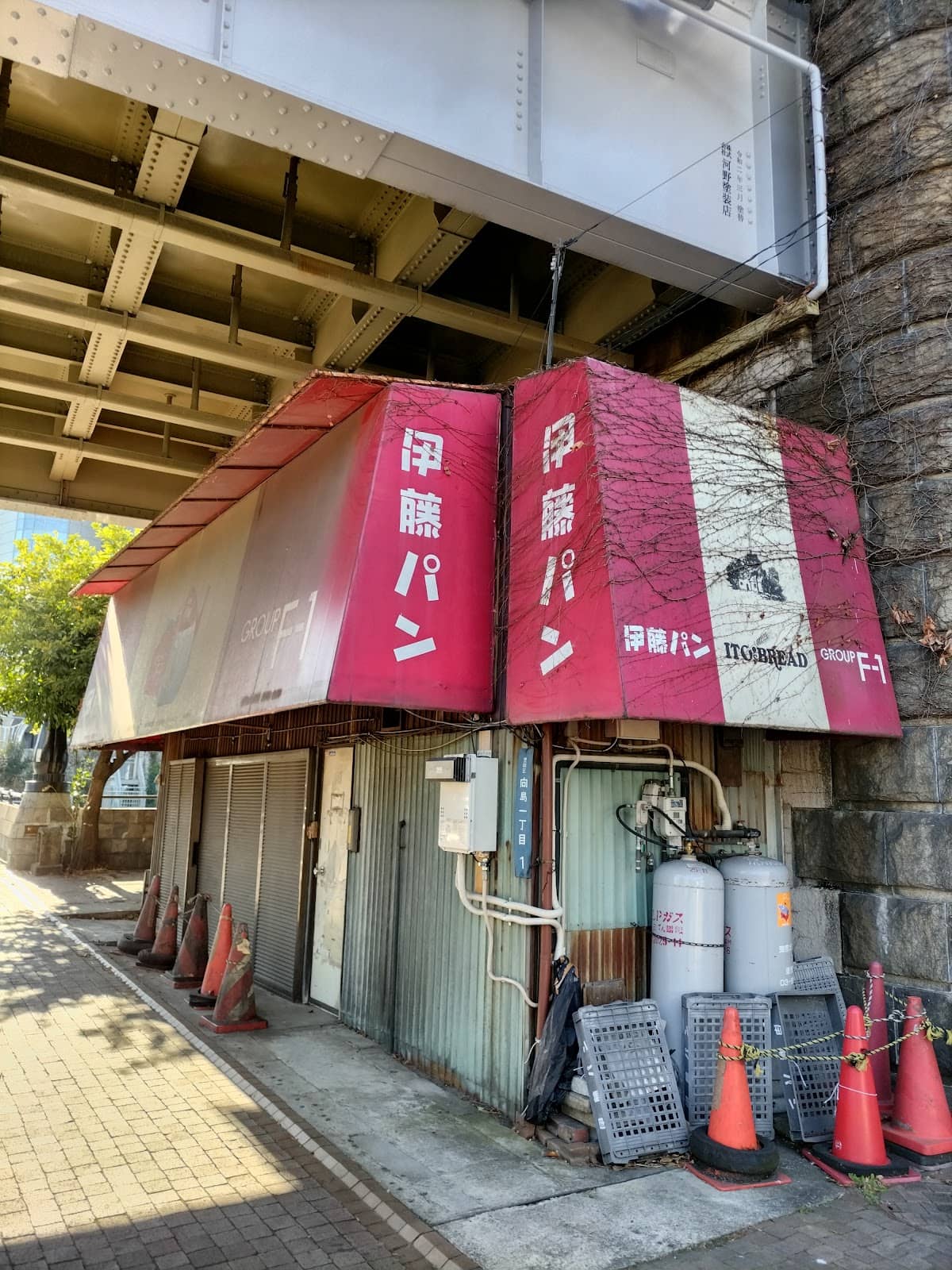 Vertical photo