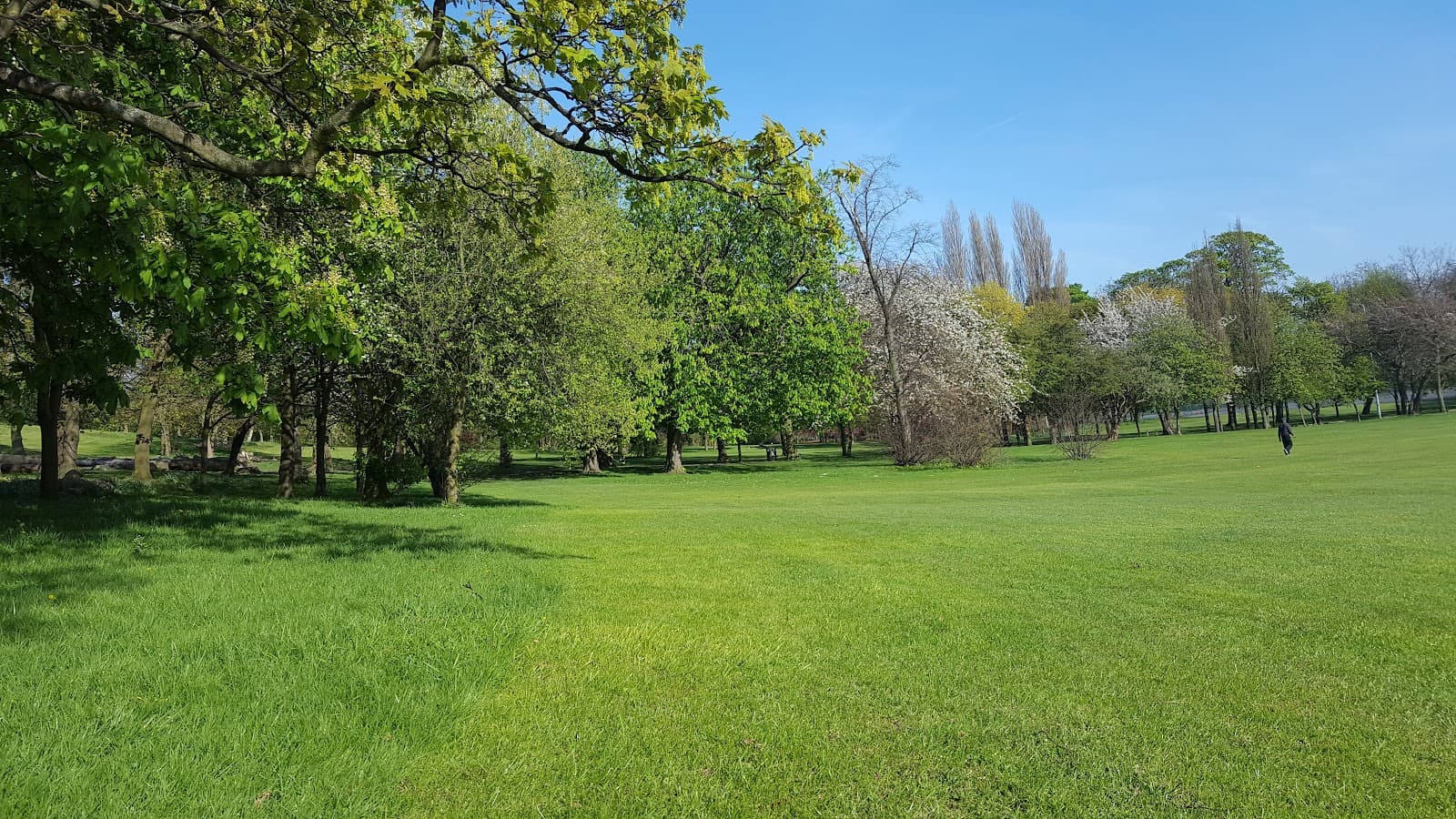 Holmfield Park - Image 1