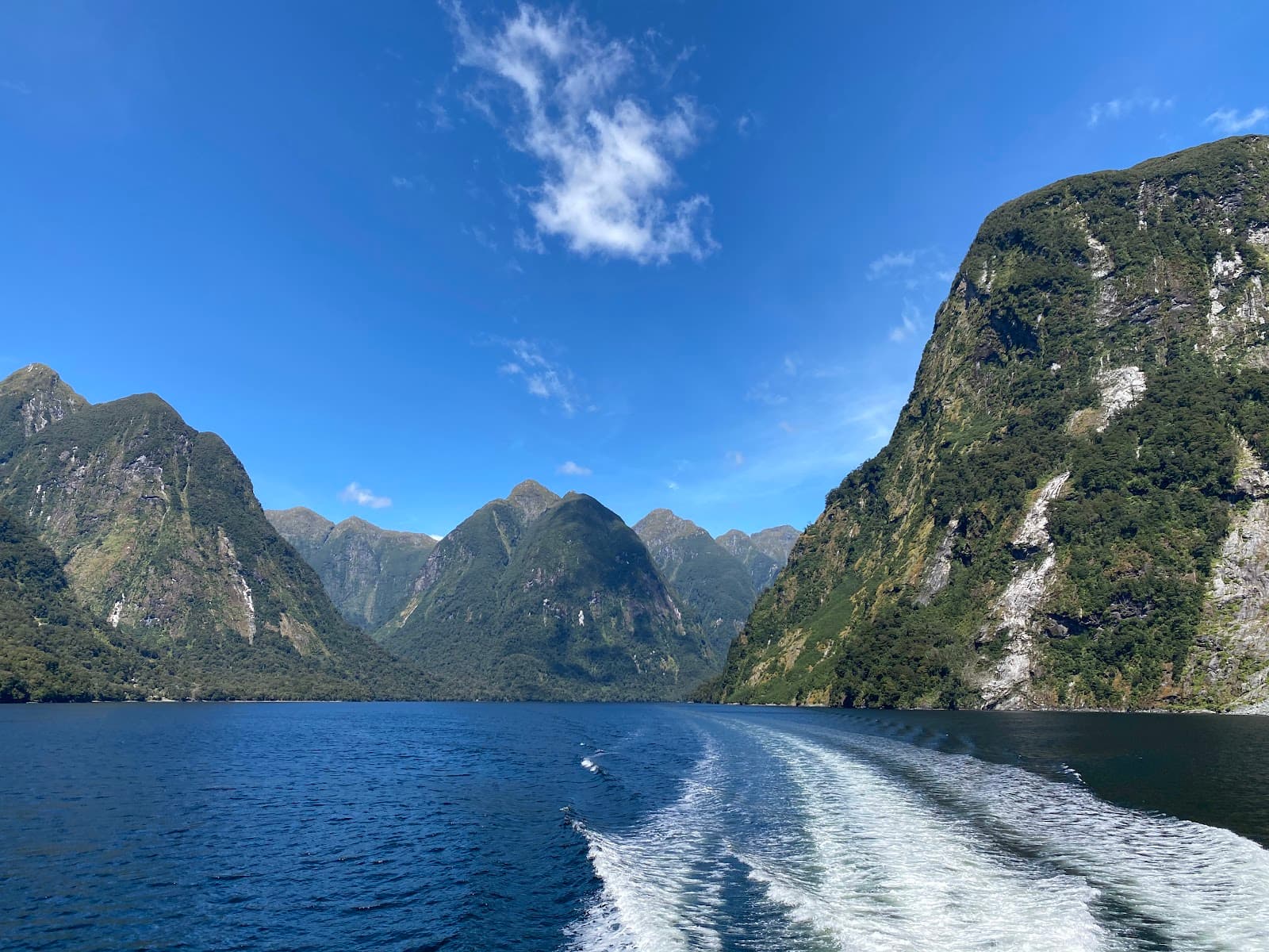 Doubtful Sound / Patea - Image 1
