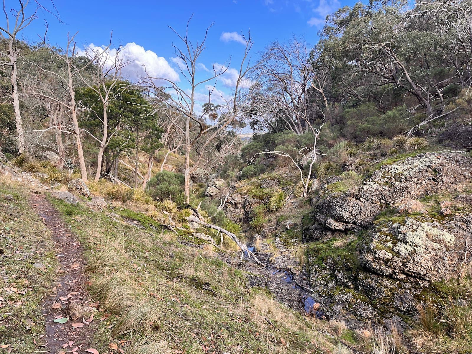 Conglomerate Gully Reserve - Image 1