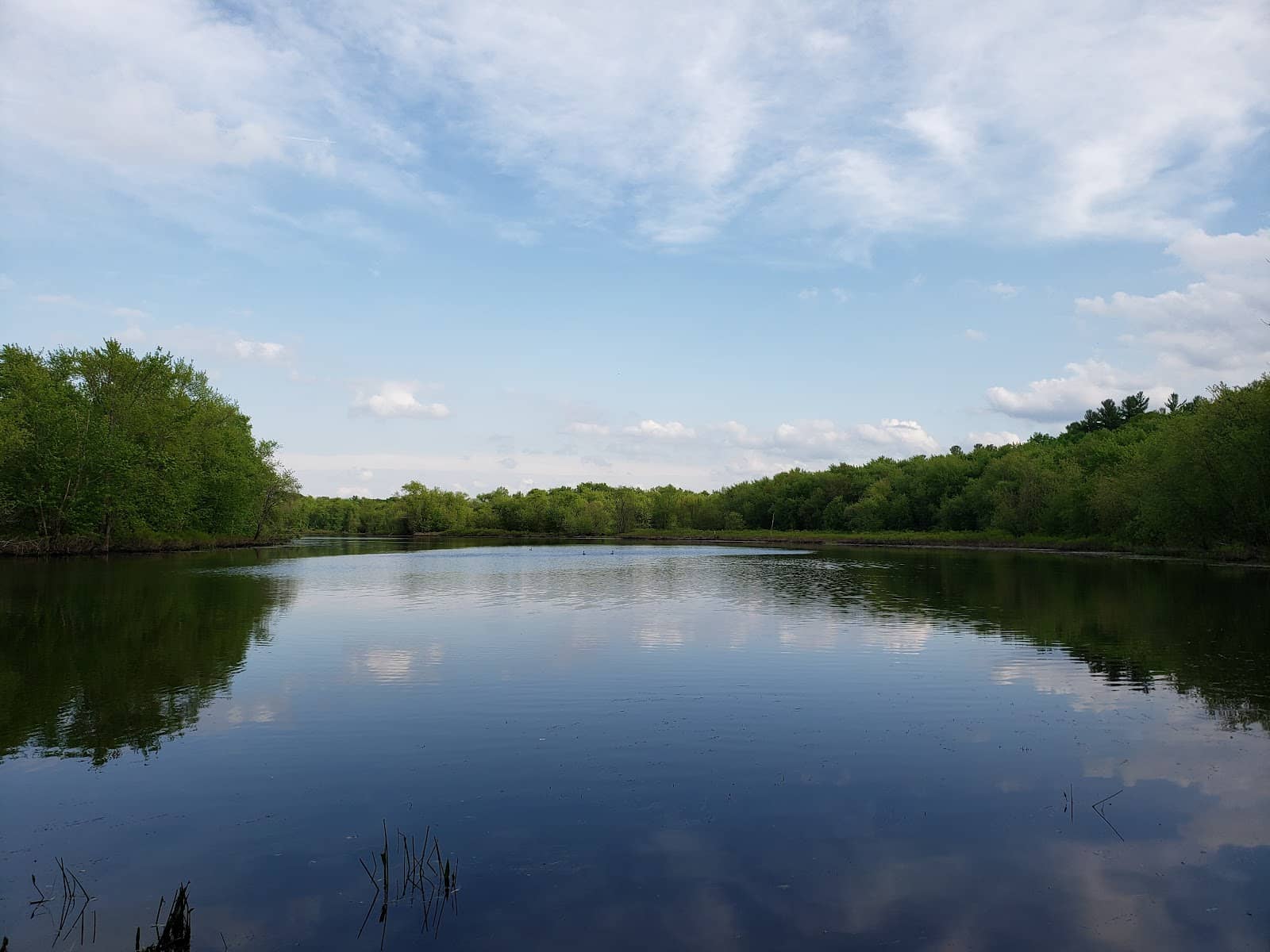 Ball's Hill Overlook