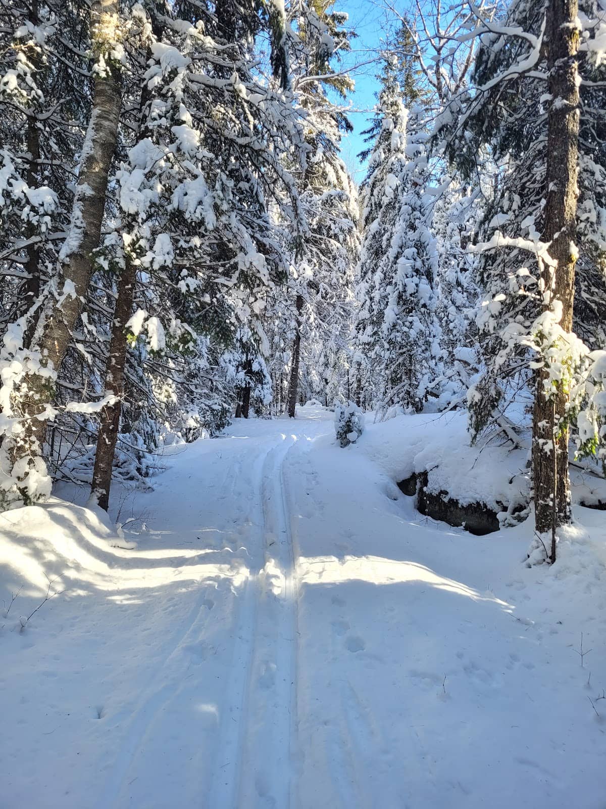Cross-Country Skiing