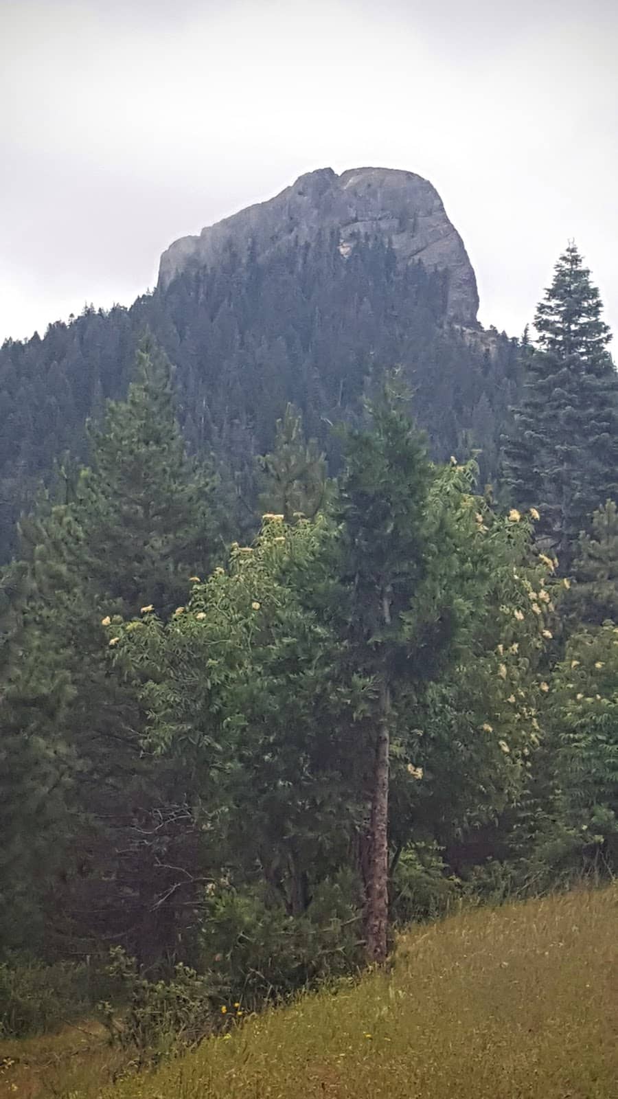 The Main Pilot Rock Truck Trail