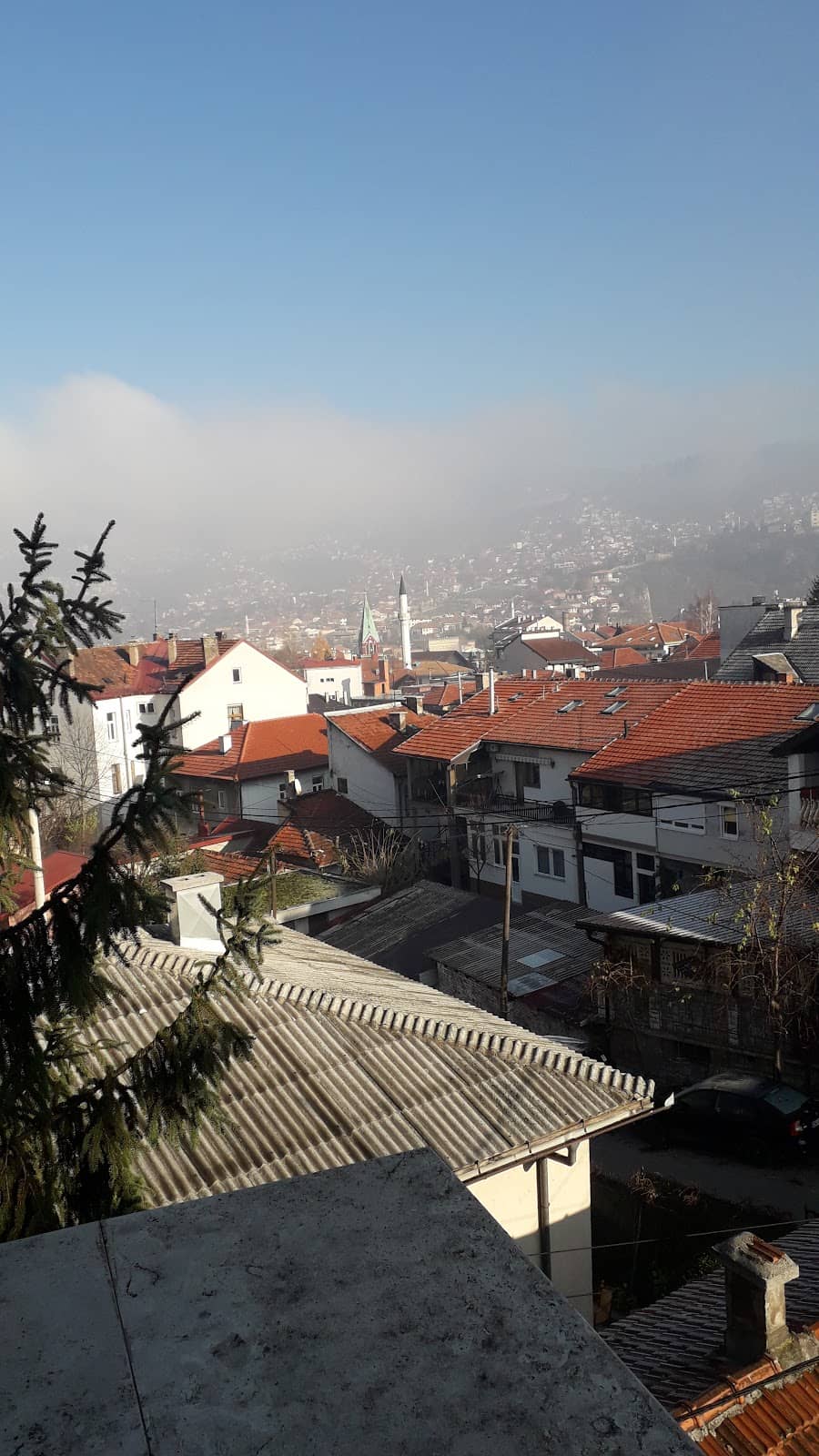 Local Cafes and Bakeries