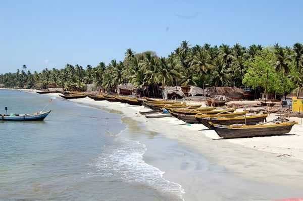 Malvan Beach (Dandi) - Image 1