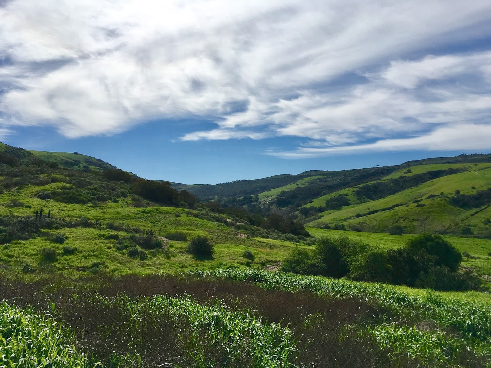Bommer Canyon Preserve - Image 1
