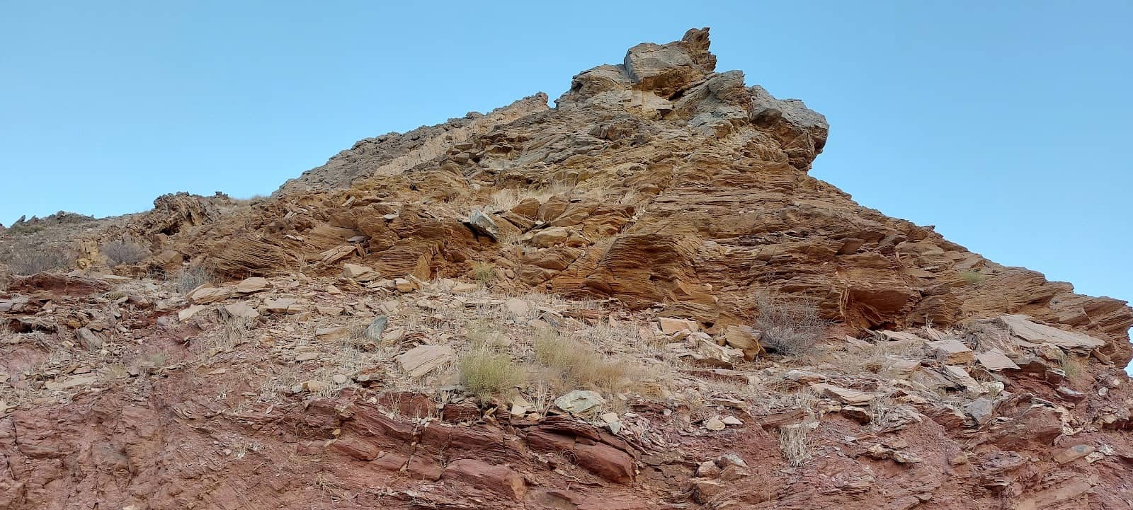 Vertical photo