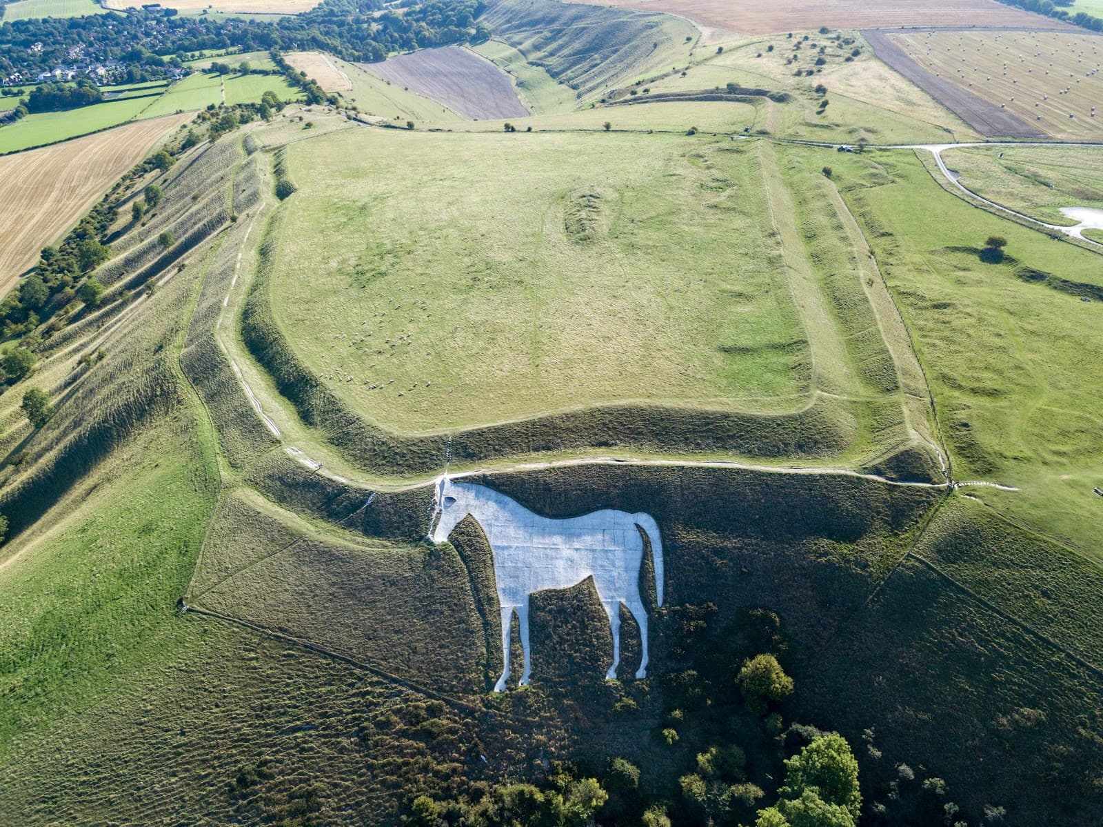 Westbury White Horse & Bratton Camp - Image 1
